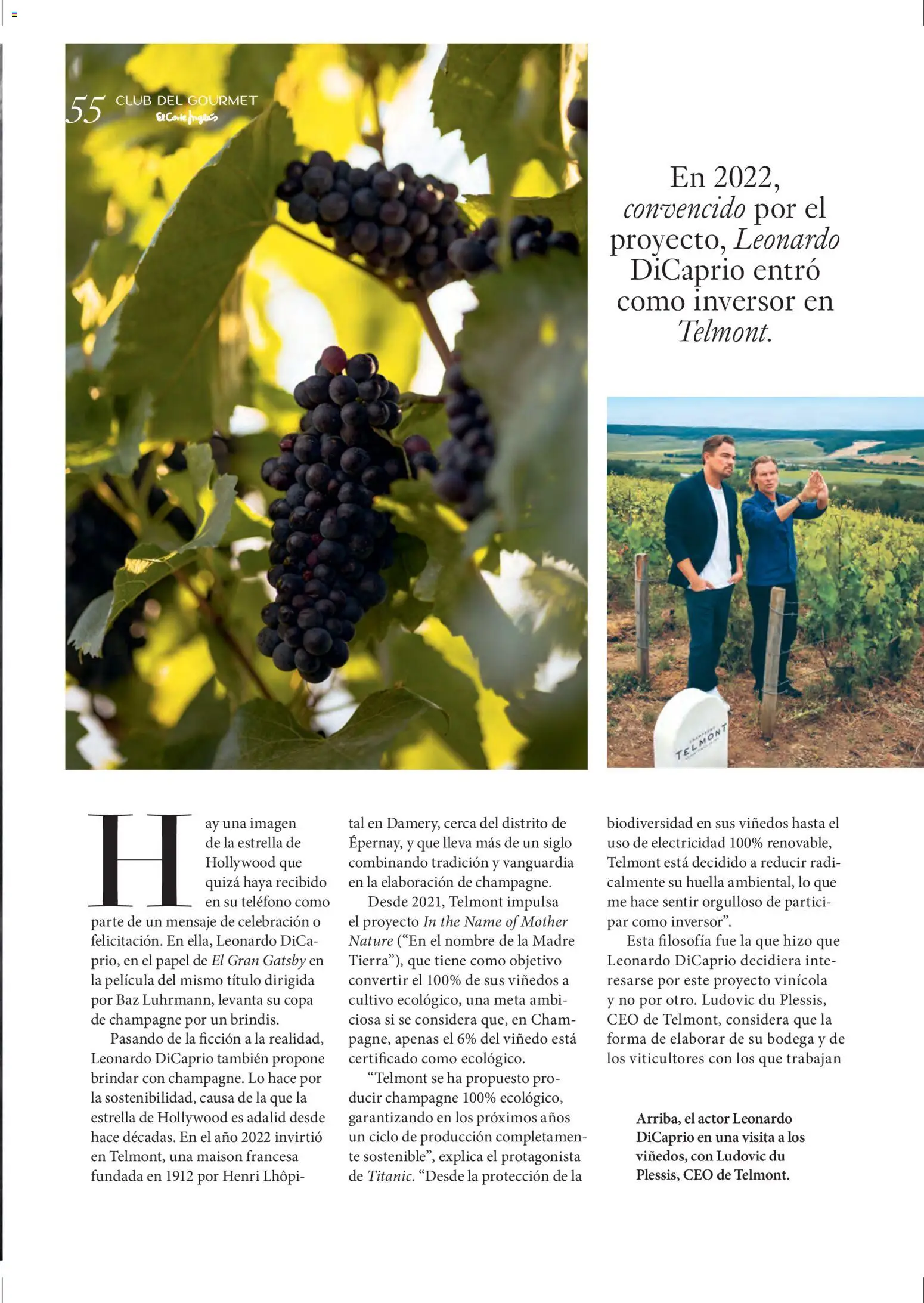 El Corte Inglés ofertas │ válido desde el 11.12.2025 | Página: 55 | Productos: Té, Teléfono