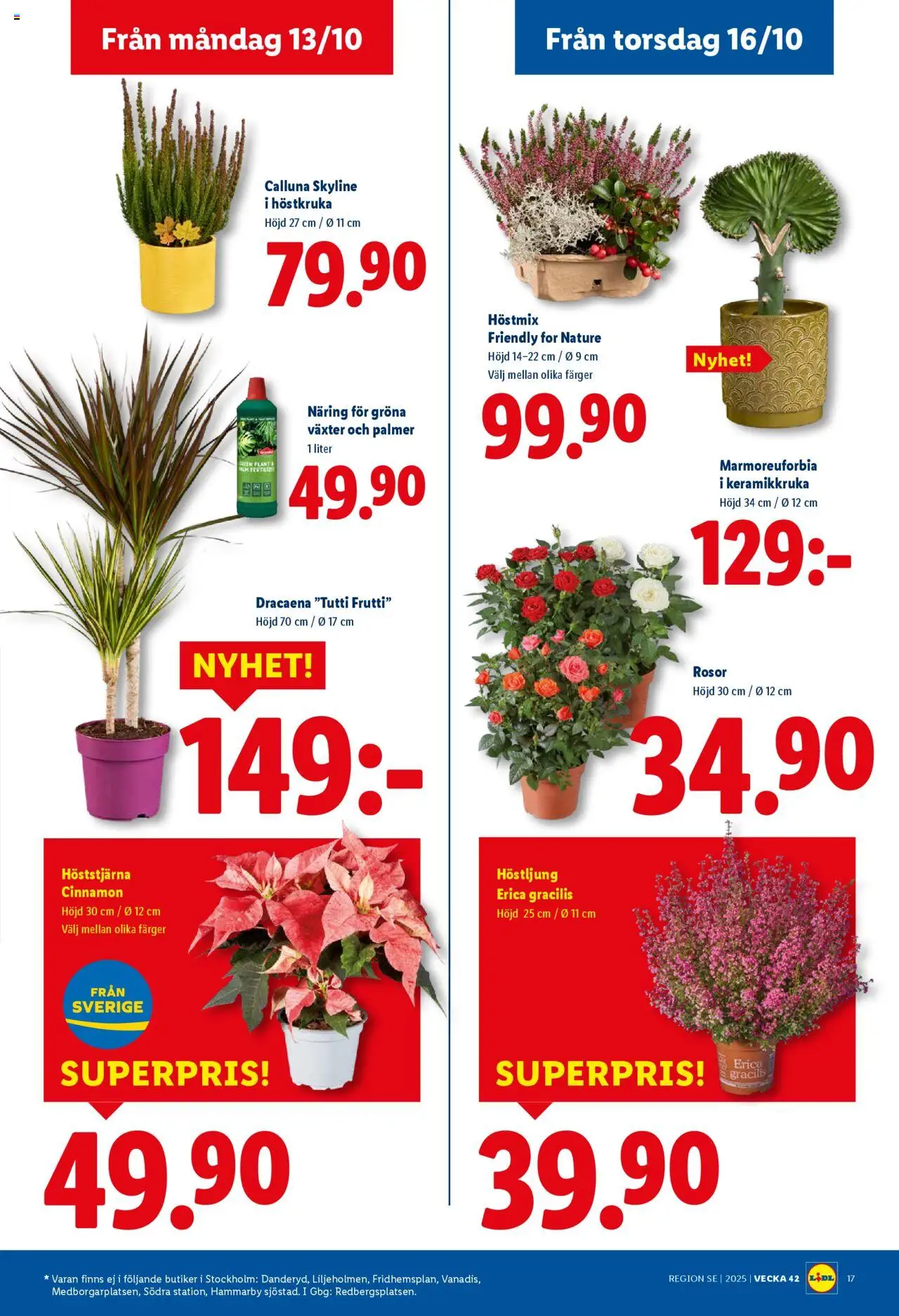 Lidl reklamblad aktuell från 13.10.2025 | Sida: 19 | Produkter: Keramikkruka, Tutti frutti