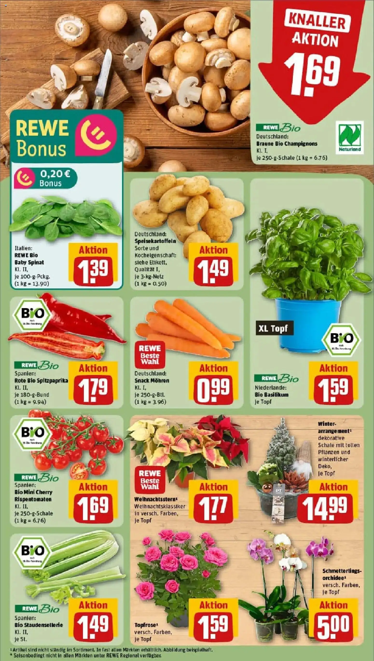 Rewe prospekt Bochum	 – gültig ab 10.11.2025 | Seite: 5 | Produkte: Orchidee, Mohren, Champignons