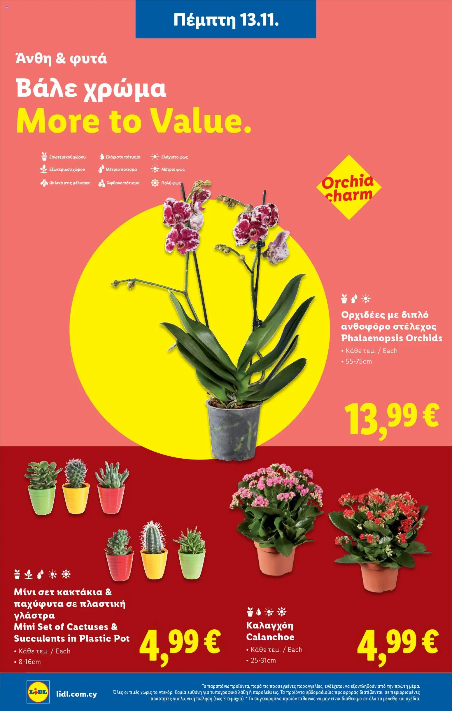 Lidl - Φυλλάδιο – σε ισχύ από 13.11.2025 | Σελίδα: 42