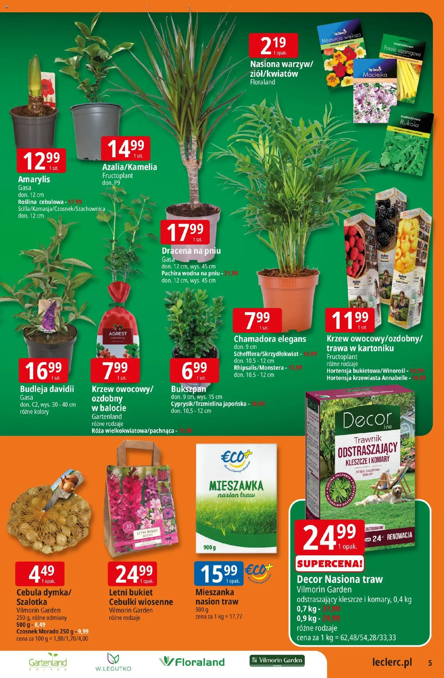 E.Leclerc gazetka - Kłodzko od 10.03.2026 | Strona: 5 | Produkty: Top, Agrest, Nasiona, Szalotka