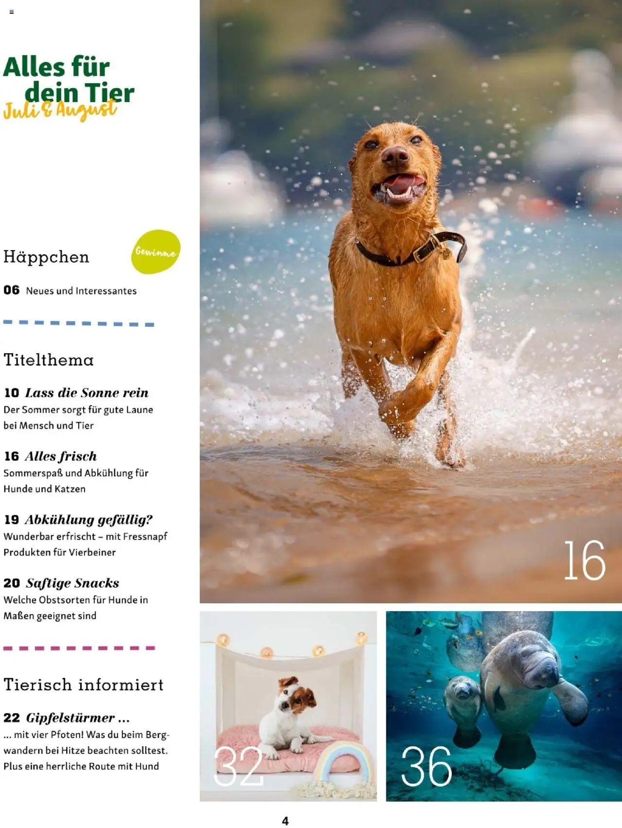 Fressnapf Friends 04/25 gültig ab 01.07.2025 | Seite: 4