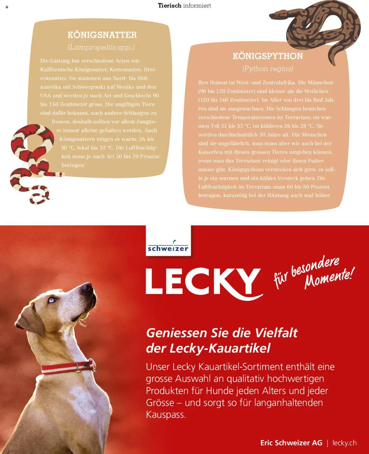Fressnapf Magazin ab 01.07.2025 | Seite: 31