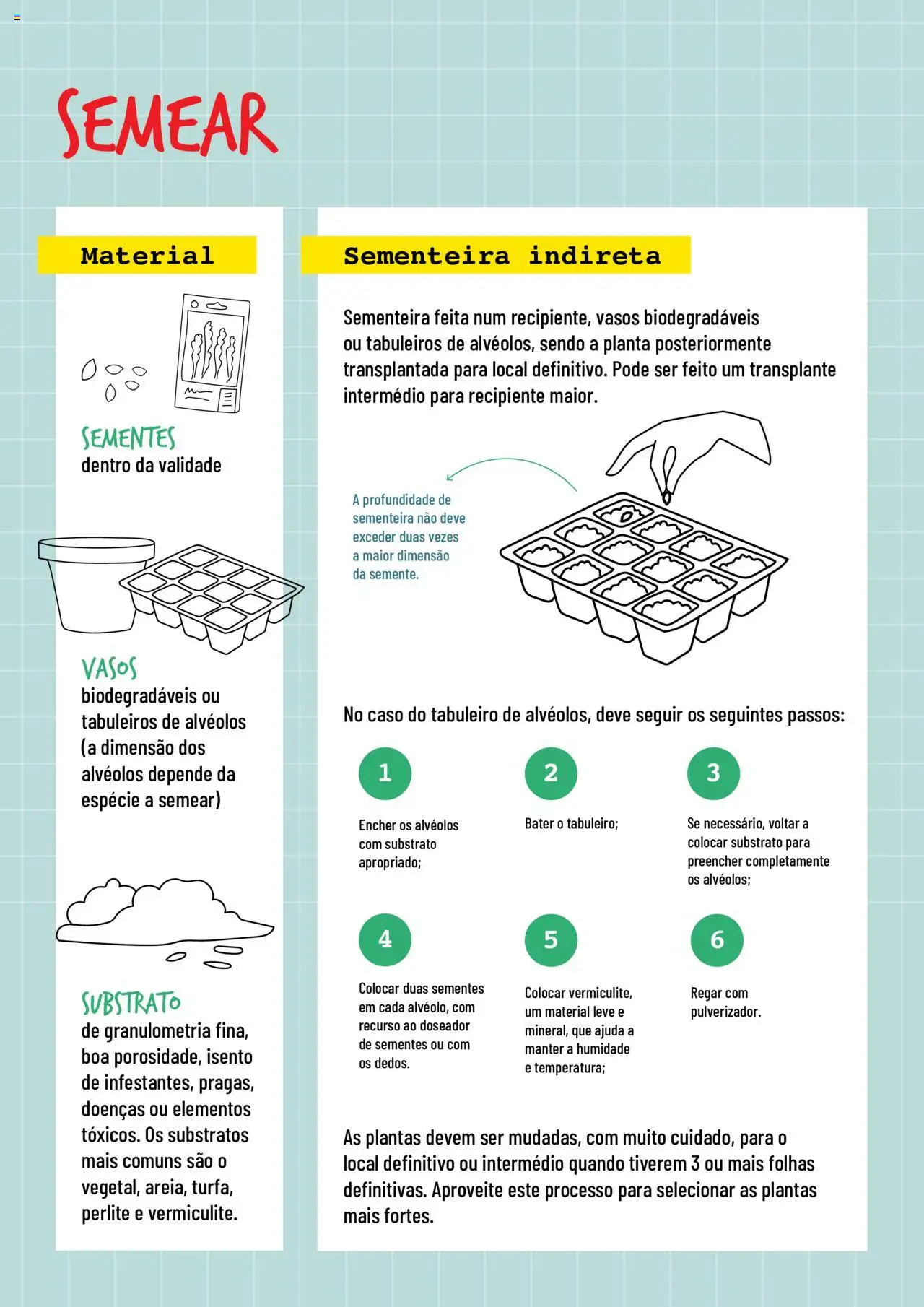 BricoMarché Sementeiras │ válido de 17.01.2024 | Página: 4