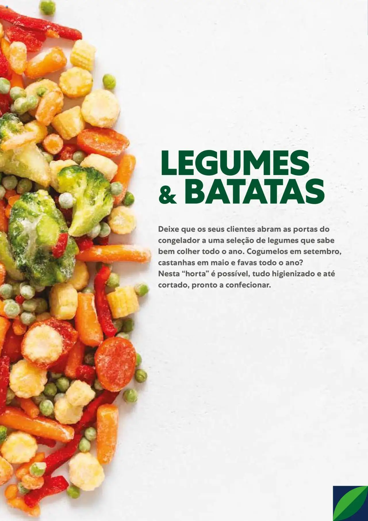 Recheio Congelados │ válido de 01.02.2024 | Página: 4 | Produtos: Congelador, Favas, Castanhas, Cogumelos