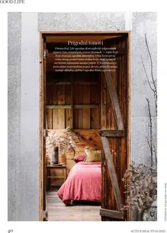 DM - Active Beauty - Pregled kataloga iz trgovine DM, vrijedi od 01.12.2025 | Stranica: 40