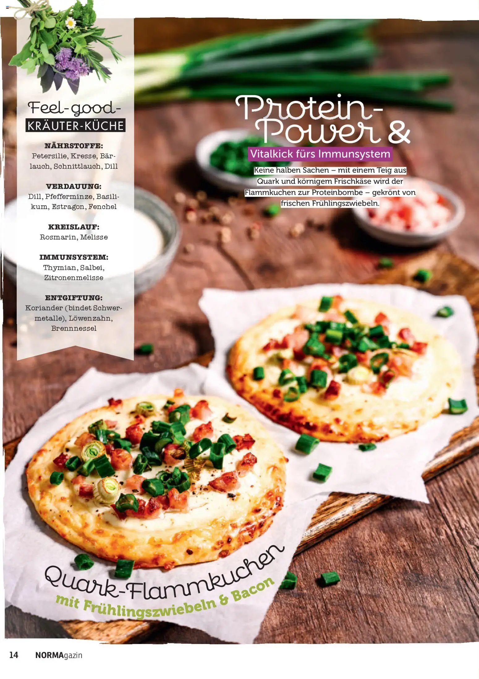 Norma NORMAgazin März/April 2026 – gültig ab 01.03.2026 | Seite: 14 | Produkte: Quark, Dill, Frischkase