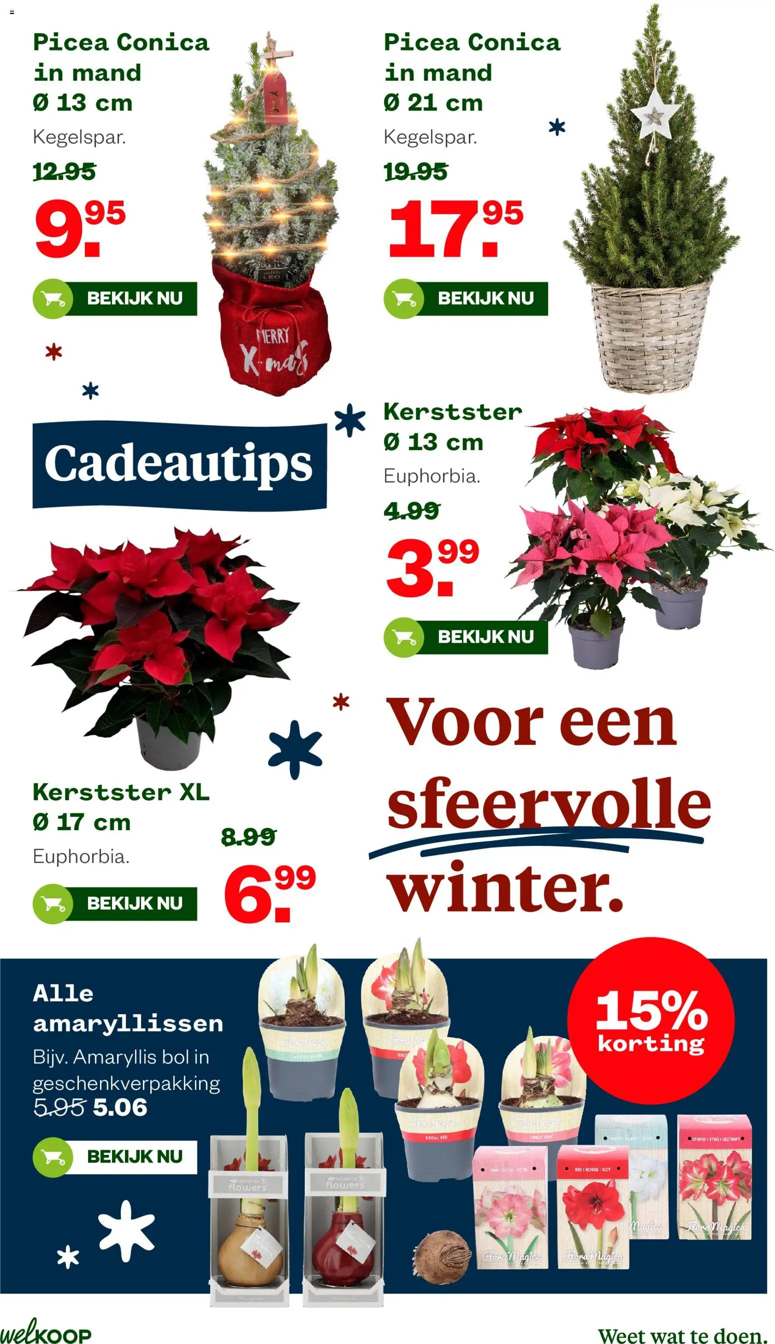 {H1} | Pagina: 26 | Producten: Mand, Bol