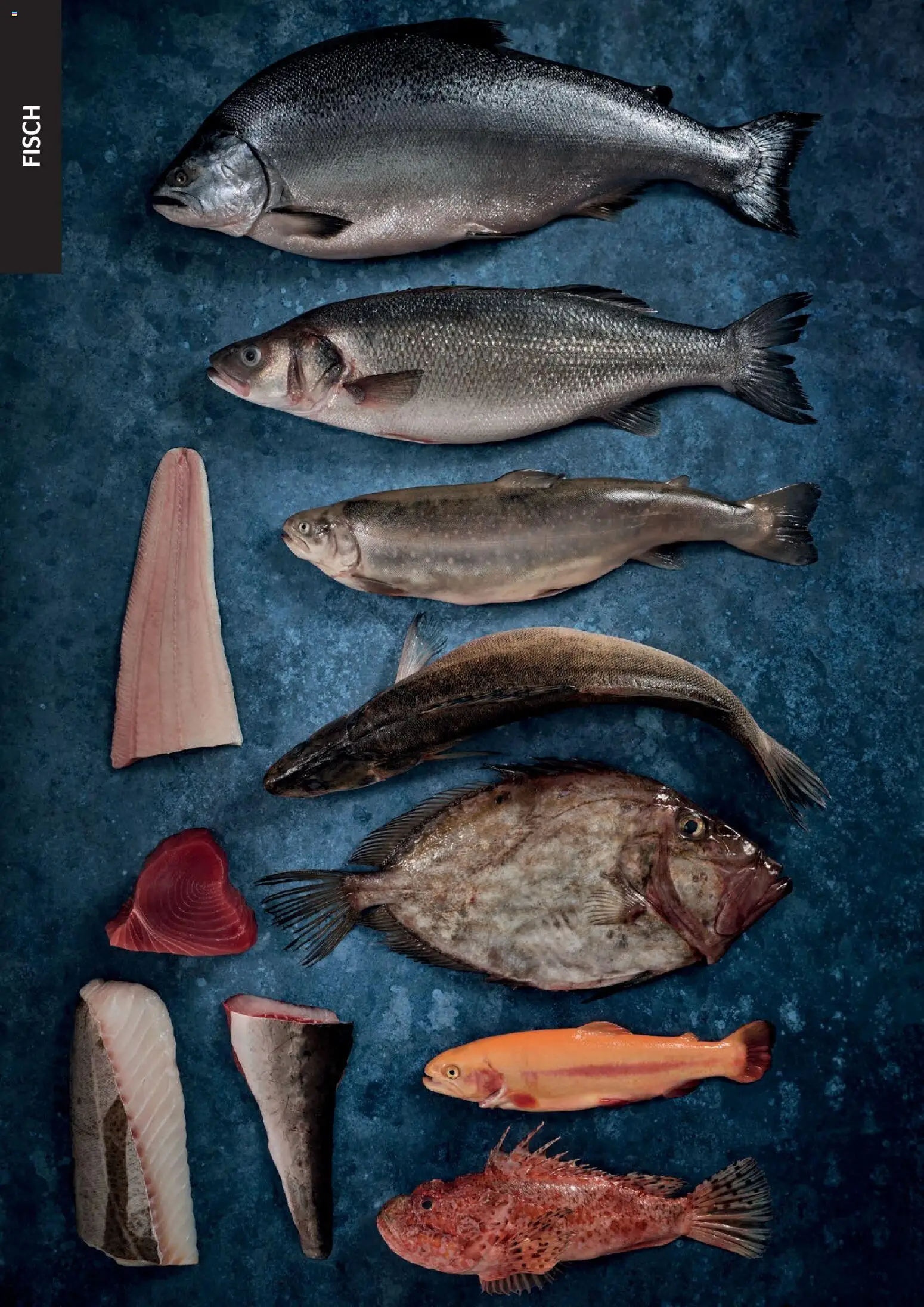 Transgourmet Cook Look-Book gültig ab 08.04.2026 | Seite: 48 | Produkte: Fisch