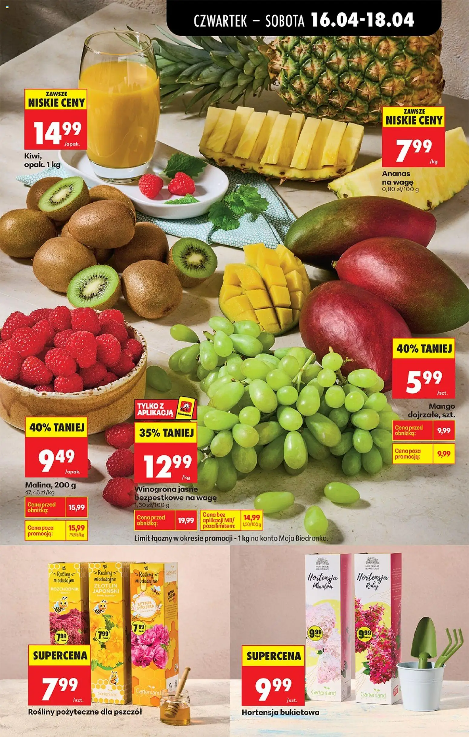Biedronka gazetka od czwartku od 16.04.2026 | Strona: 33 | Produkty: Mango, Winogrona, Ananas, Kiwi