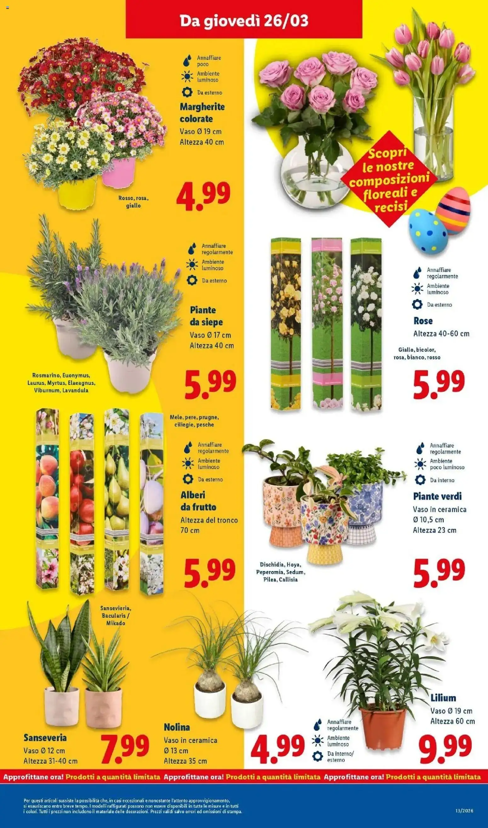 Volantino Lidl del 23.03.2026 | Pagina: 35 | Prodotti: Vaso