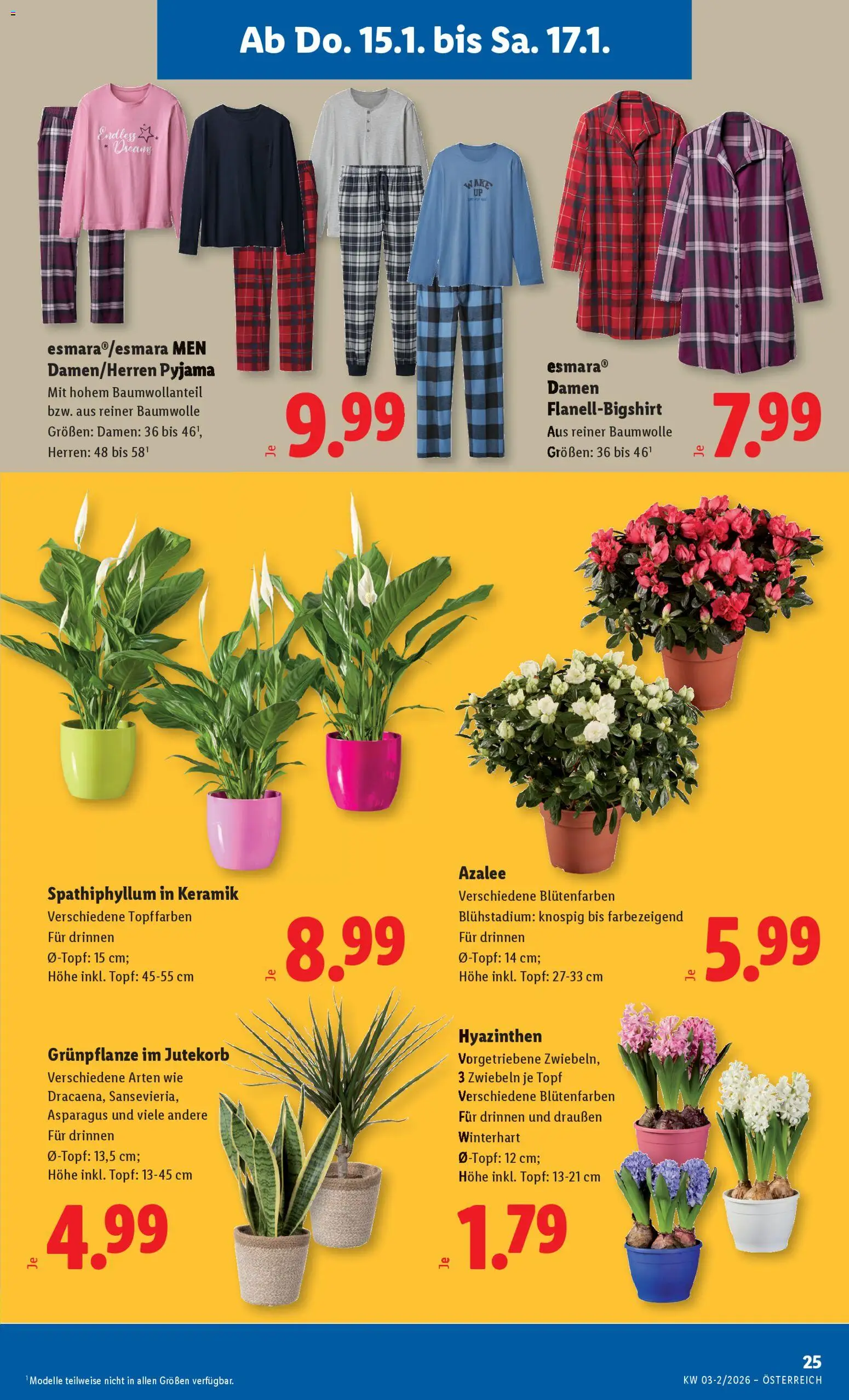 Lidl Wien, Graz, Linz gültig ab 15.01.2026 | Seite: 29 | Produkte: Pyjama, Zwiebeln