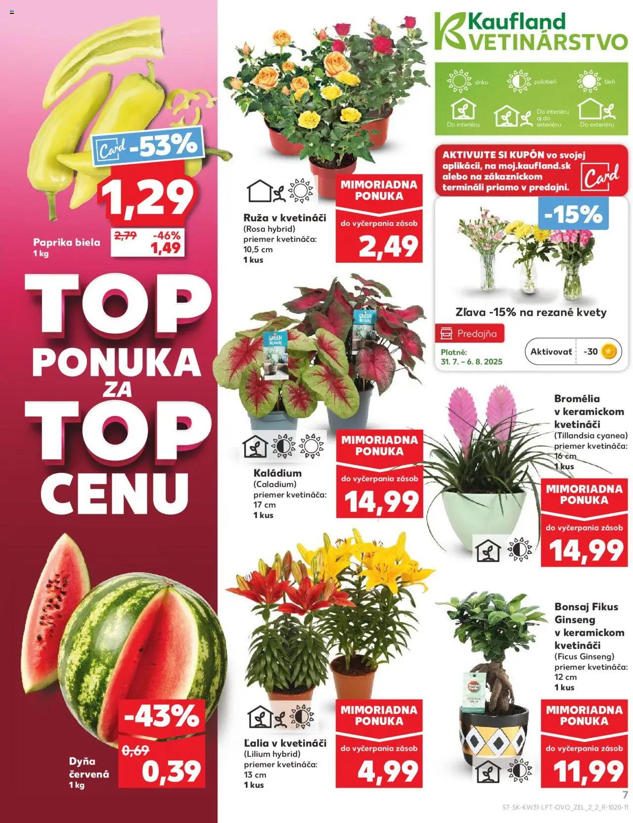 Kaufland Bratislava-Podunajské Biskupice │ platný od 31.07.2025 | Strana: 7 | Produkty: Paprika, Kvety, Melón