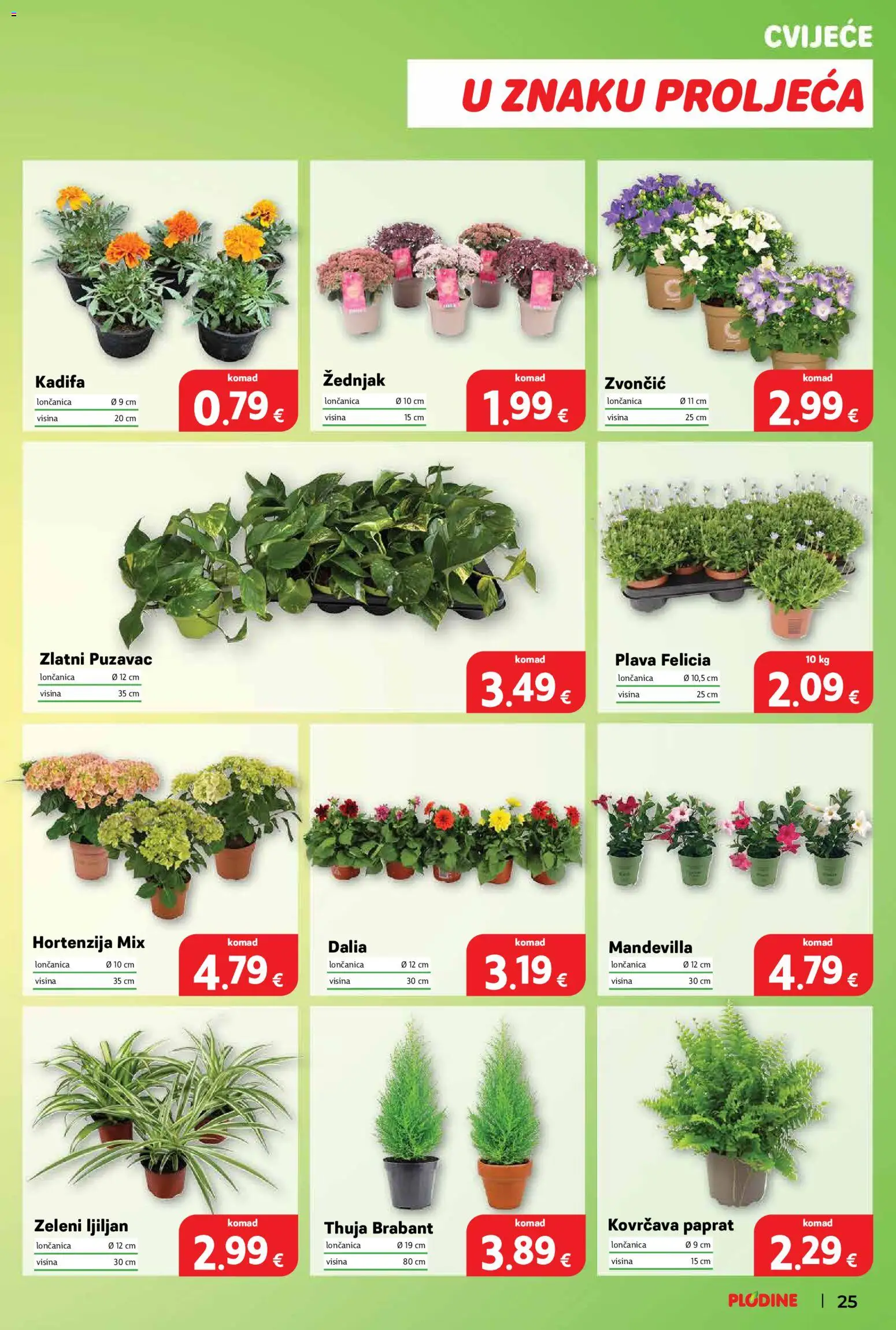 Plodine katalog | vrijedi od 08.04.2026 | Stranica: 25 | Proizvodi: Cvijeće