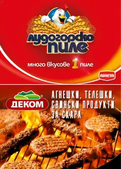 Преглед на АГНЕШКИ, ТЕЛЕШКИ, СВИНСКИ ПРОДУКТИ ЗА СКАРА, Lamb, veal, pork products for barbecue - Офертите са валидни от 11.09.2025 | Страница: 2 | Продукти: Пиле, Скара