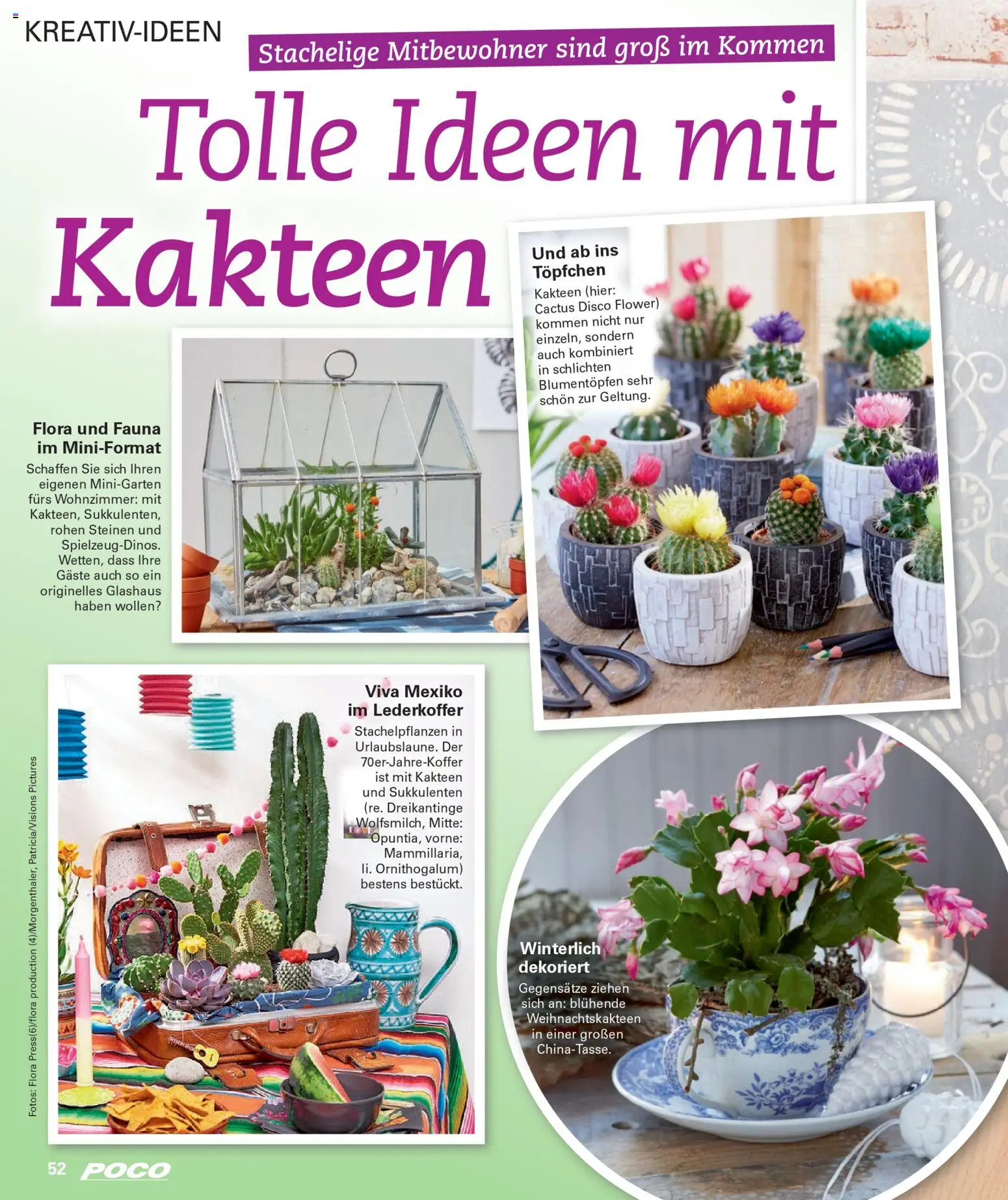 Poco Wohnwelt Winter 2025 – gültig ab 01.12.2025 | Seite: 52