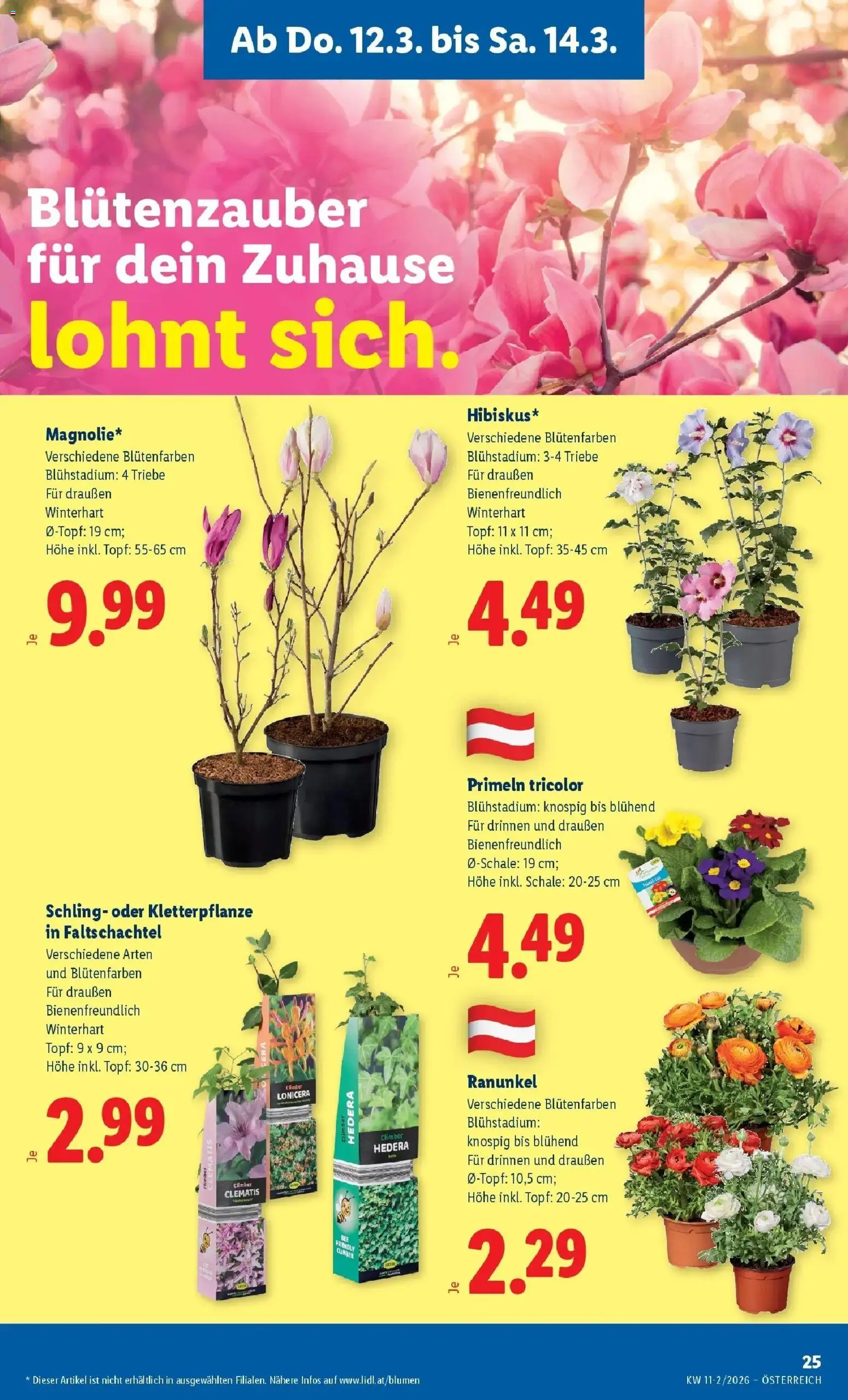 Lidl Flugblatt - Wien, Langenzersdorf, Zwettl gültig ab 12.03.2026 | Seite: 29