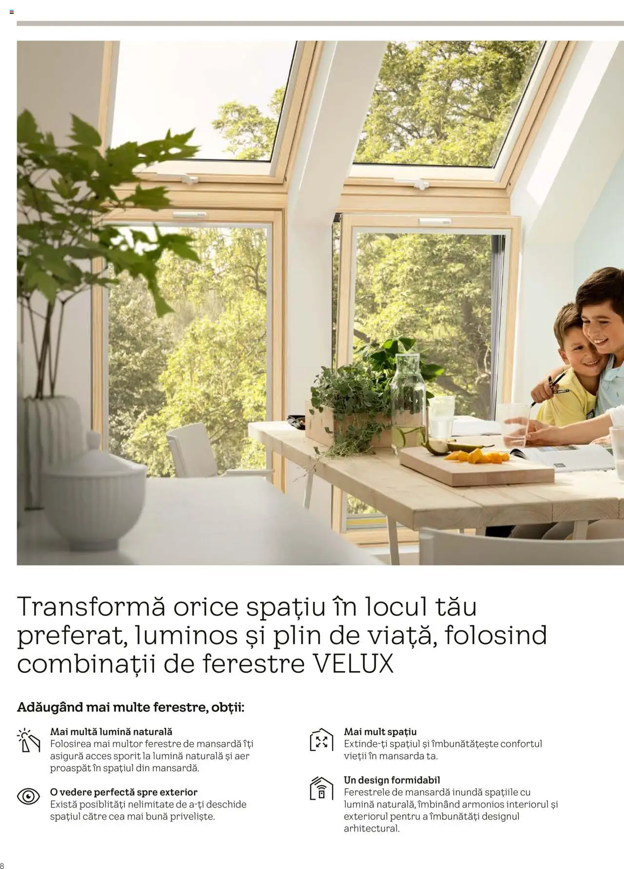 Catalog Velux – valabil de la 25.02.2025 | Pagină: 8 | Produse: Tavuk suyu