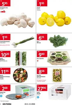 Prodega Aktionen Ostern ab 23.03.2026 gültig | Seite: 2 | Produkte: Champignons, Dill, Gemüse, Knoblauch
