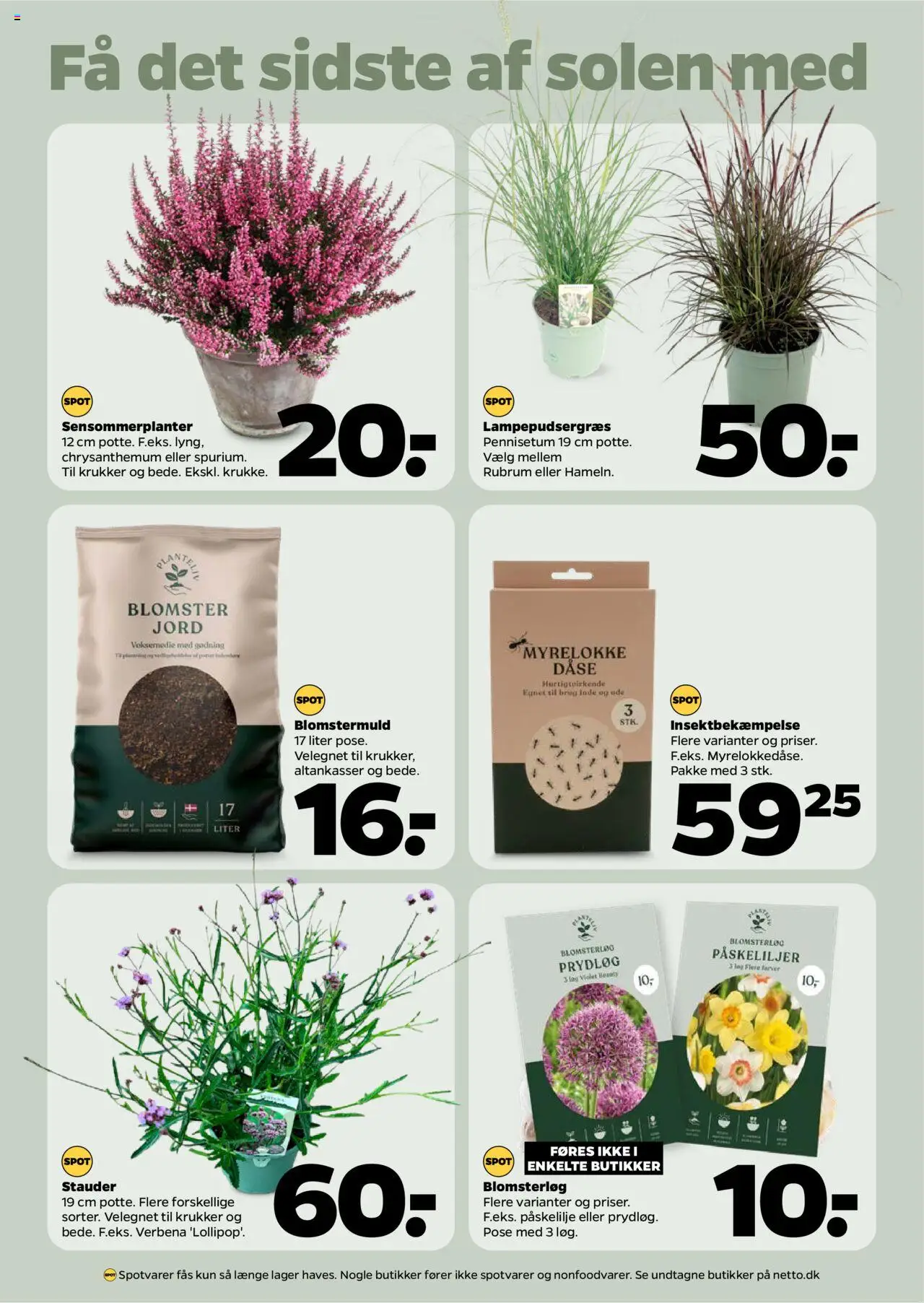 Netto Tilbudsavis gyldig fra 16.08.2025 | Side: 24 | Produkter: Løg