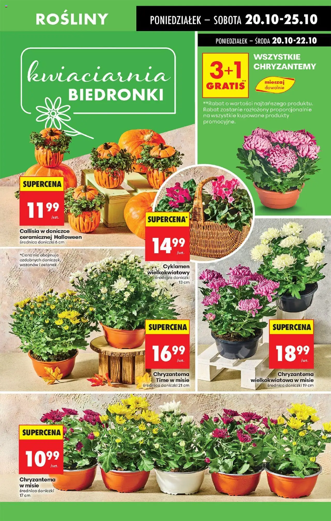 Biedronka gazetka od 20.10.2025 | Strona: 75 | Produkty: Chryzantemy, Rosliny, Doniczki
