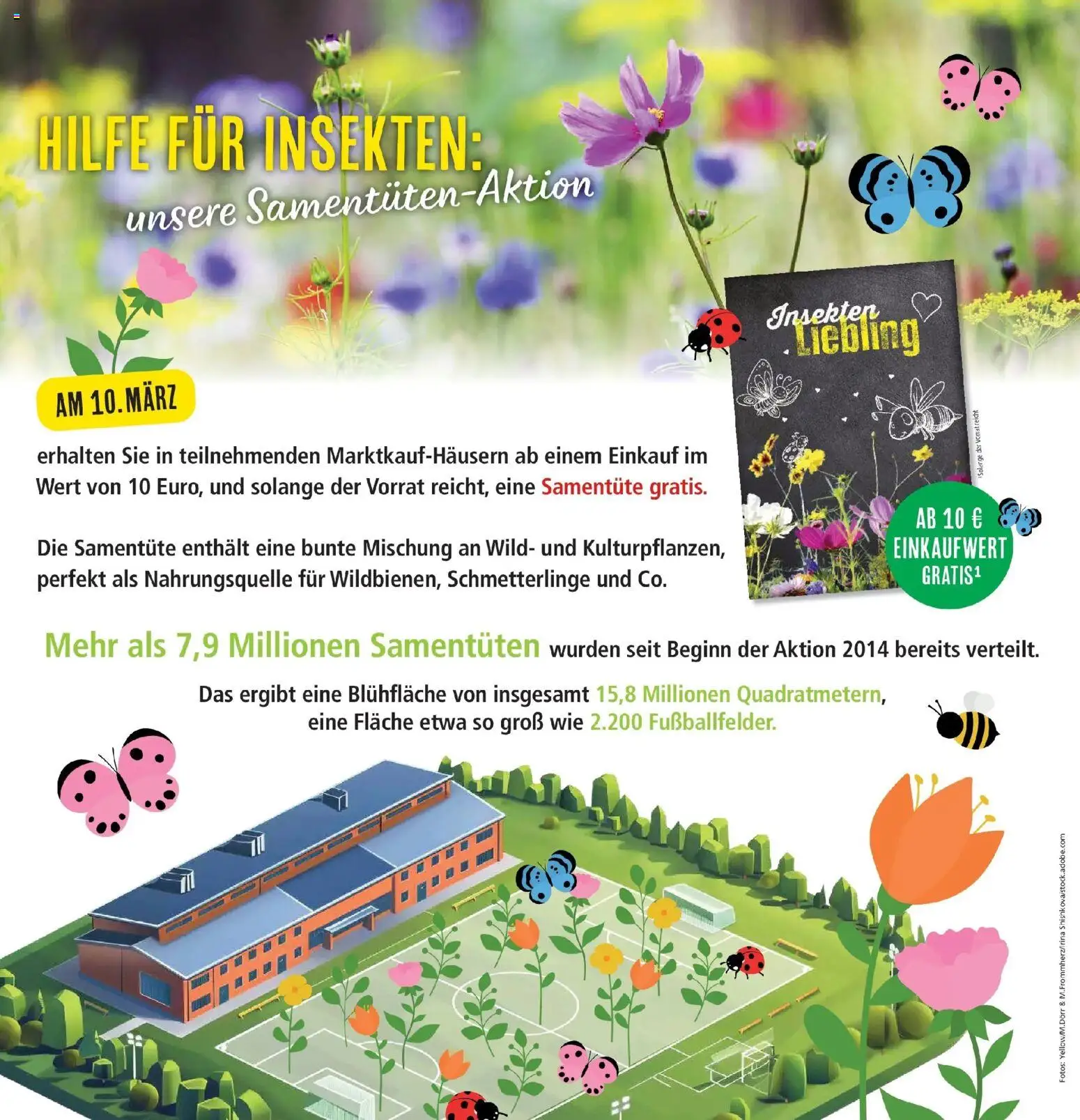 Marktkauf Prospekt Friedrichshafen  – gültig ab 09.03.2026 | Seite: 6