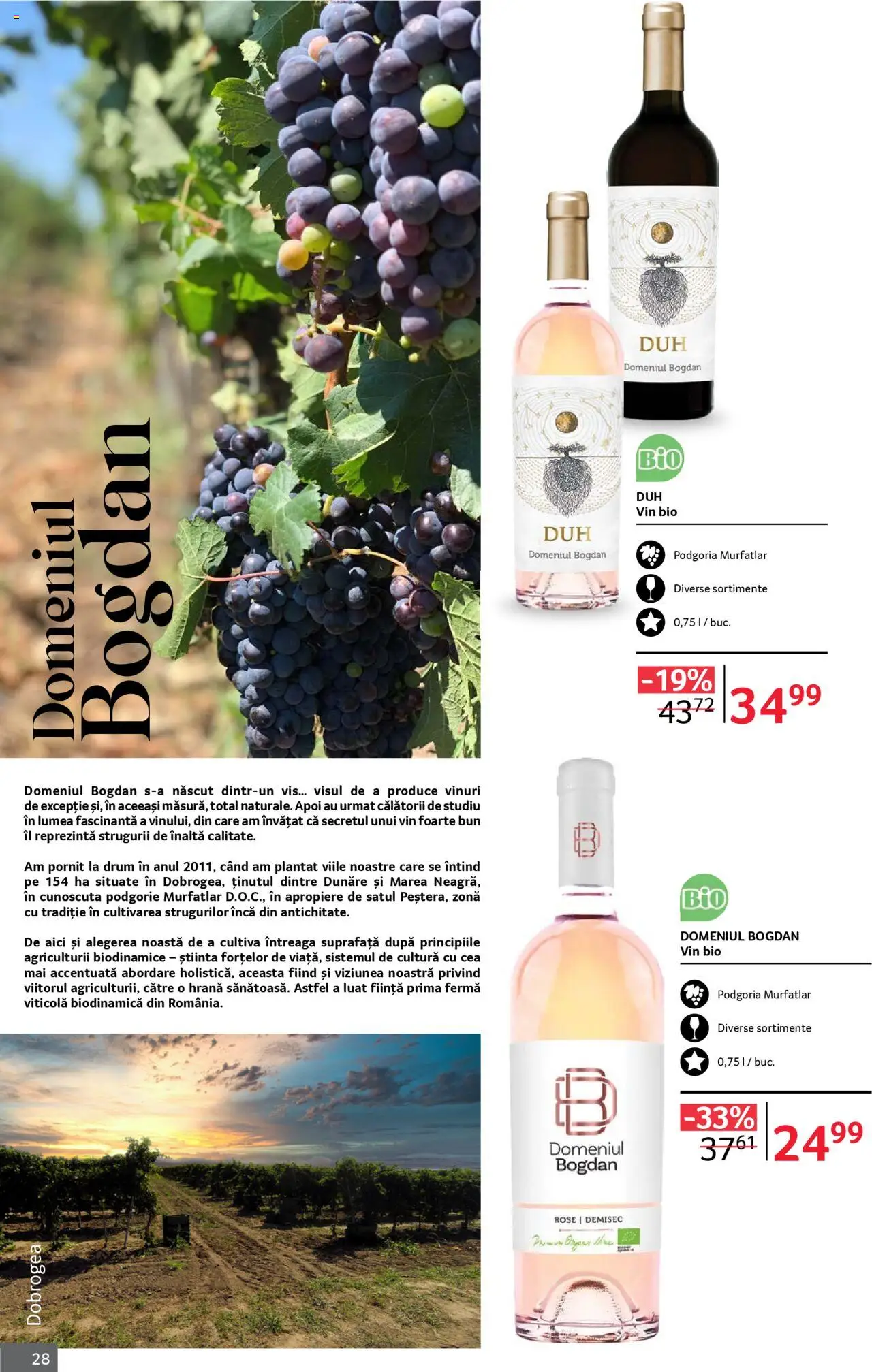 Noul catalog Selgros – valabil de la 01.10.2025 | Pagină: 28 | Produse: Şerit ödül, Vin