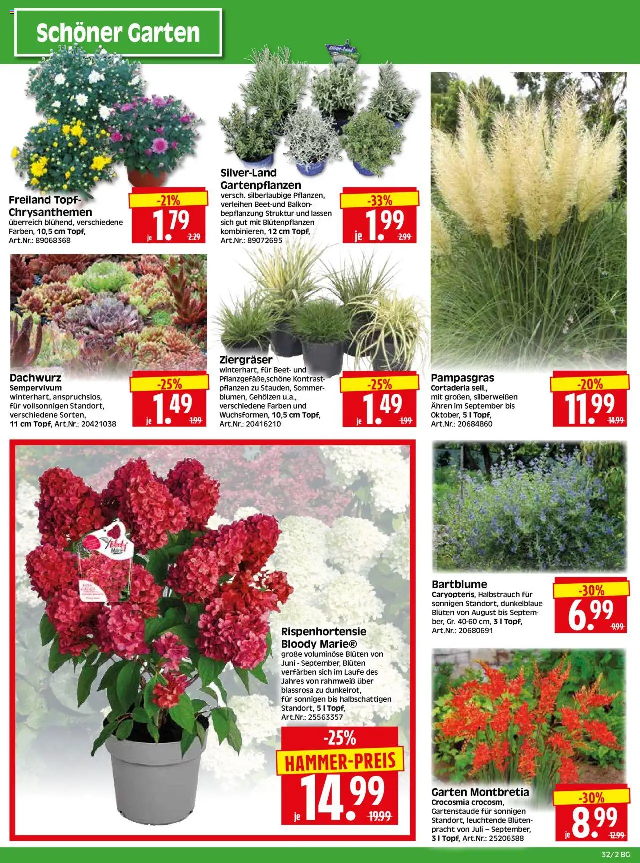 HERKULES - Bau & Garten - gültig ab dem 04.08.2025 | Seite: 2