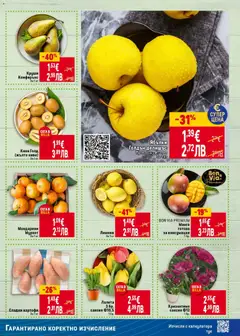 Преглед на Лалета 3 бр. саксия Ф10,5, Лалета 3 бр. в саксия Ф10,5 1 бр. - Офертите са валидни от 15.01.2026 | Страница: 9