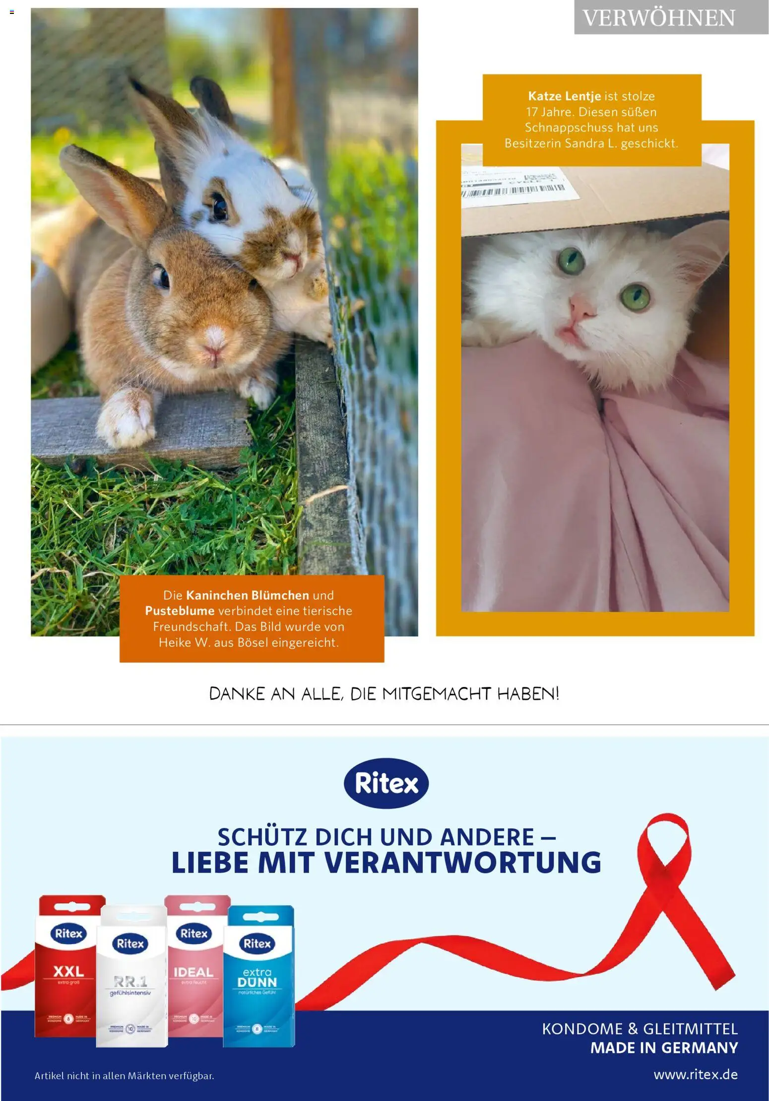 Combi  myTime Dezember 2025 – gültig ab 01.12.2025 | Seite: 63 | Produkte: Kaninchen