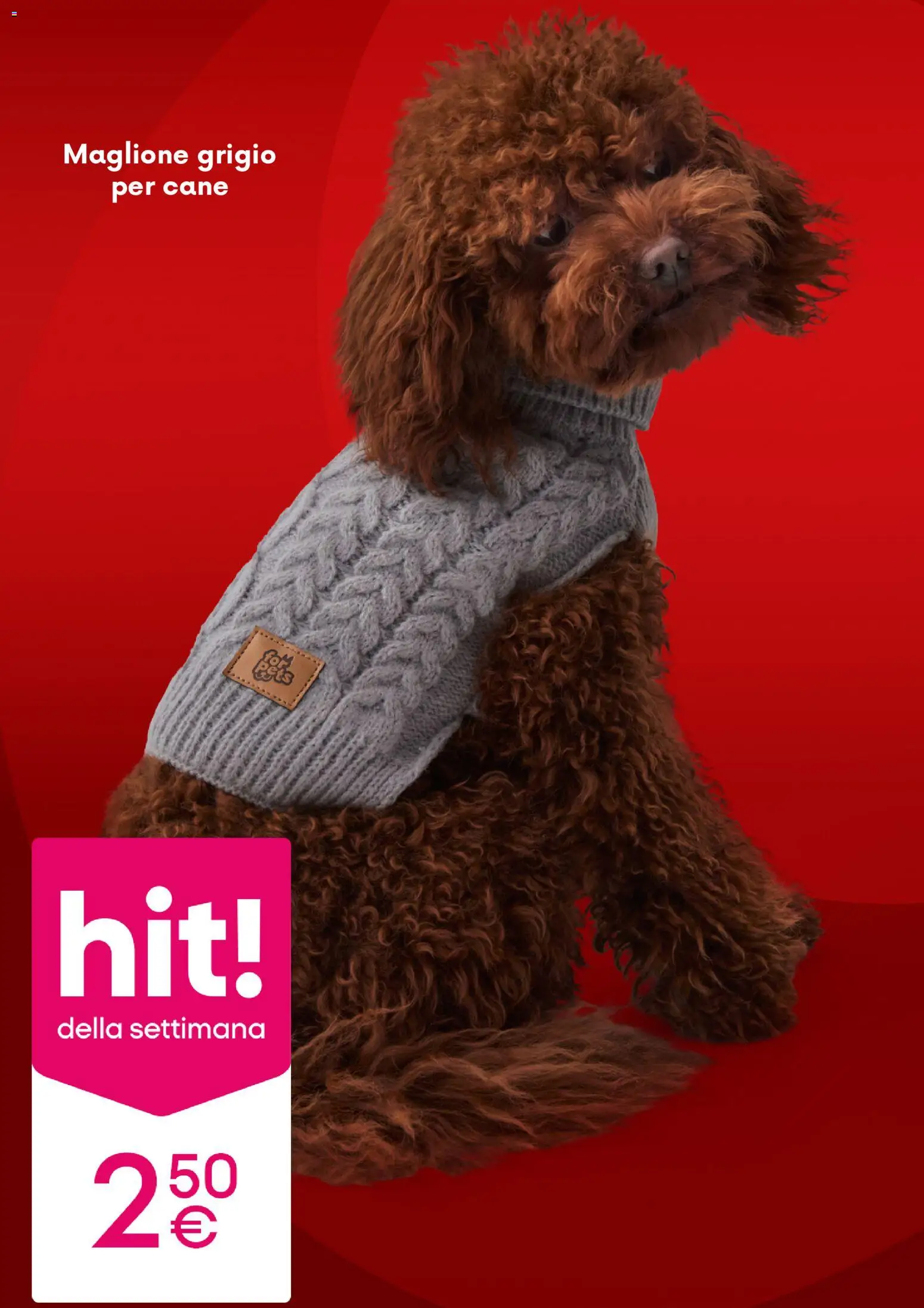 Volantino Pepco del 13.11.2025 | Pagina: 10 | Prodotti: Maglione