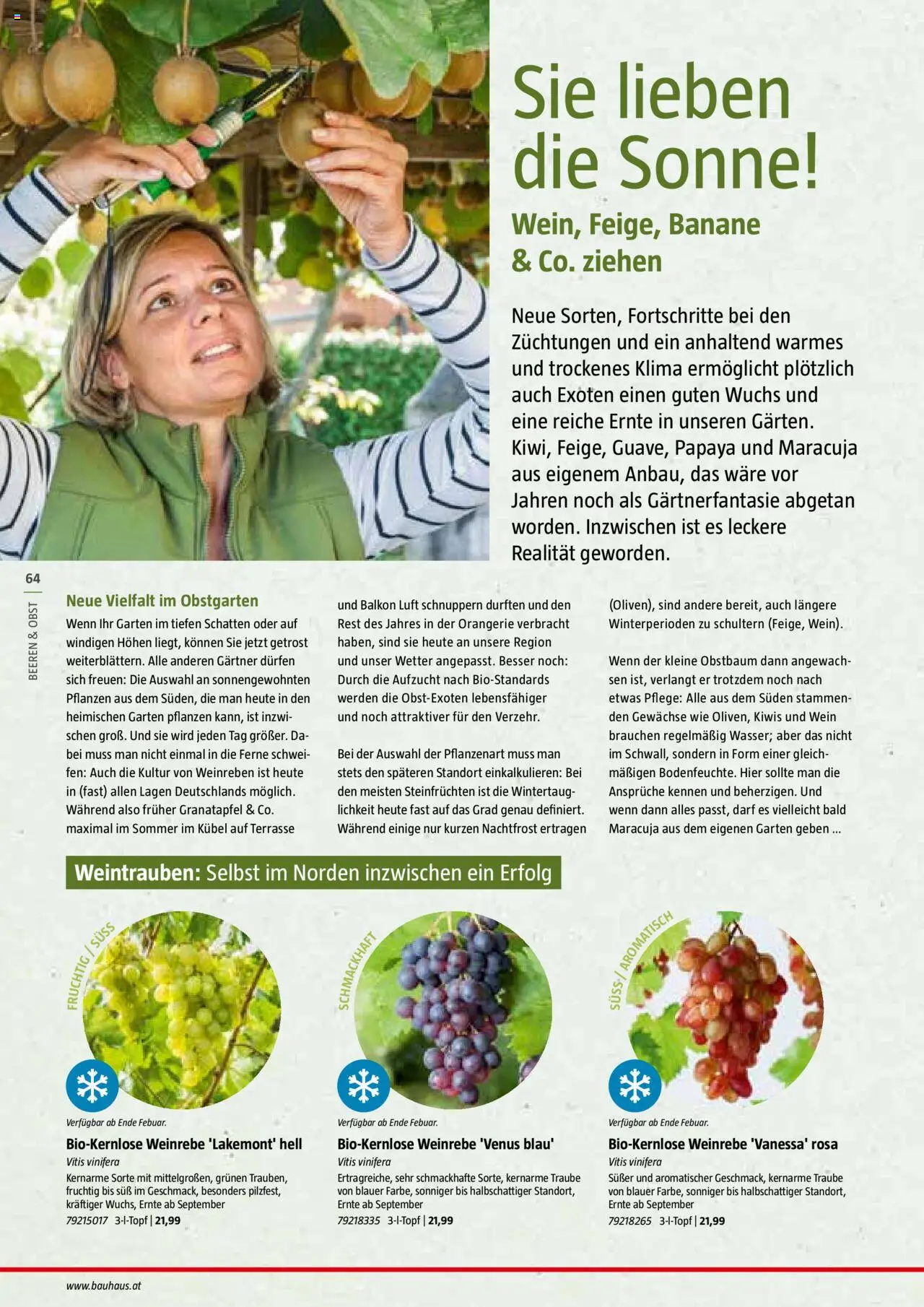 Bauhaus Reiche Ernte Magazin 2025 gültig ab 01.07.2025 | Seite: 64 | Produkte: Obst, Weintrauben, Wein