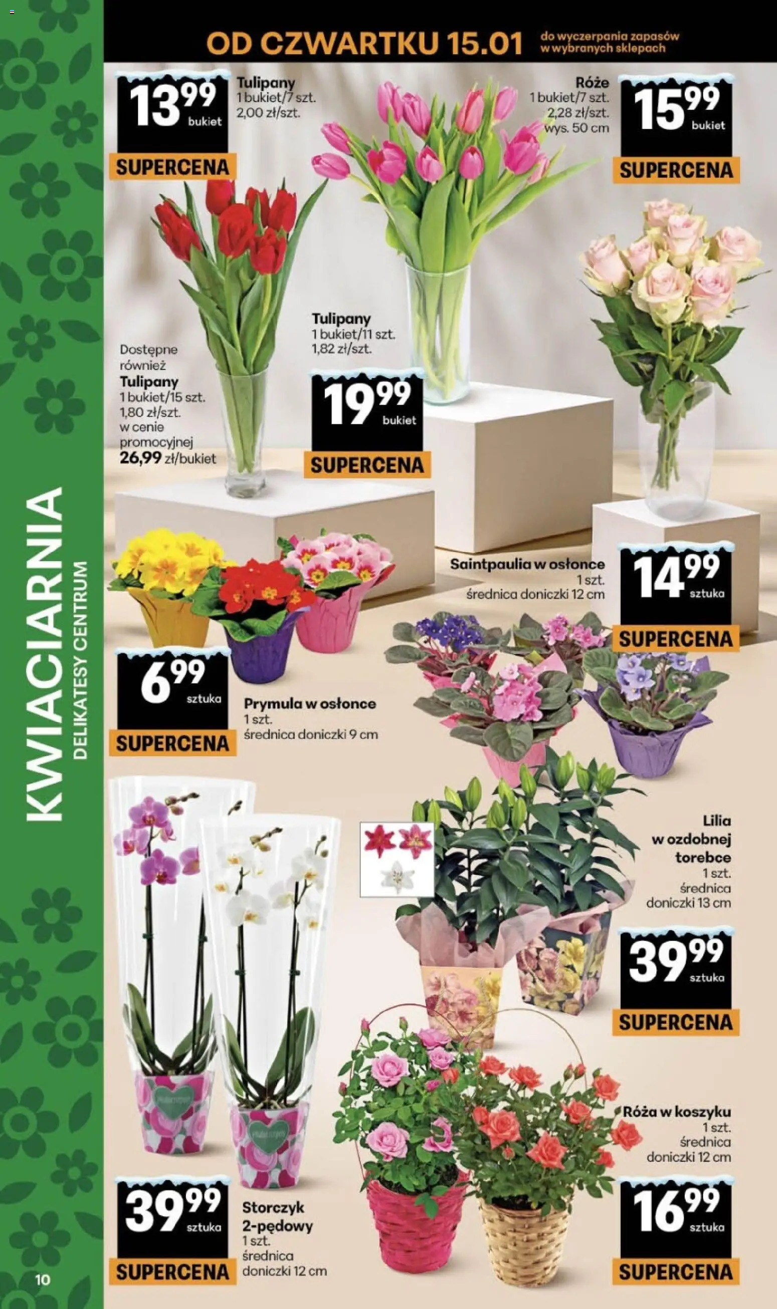 Delikatesy Centrum Gazetka od 15.01.2026 | Strona: 10 | Produkty: Delikatesy, Doniczki, Storczyk, Tulipany