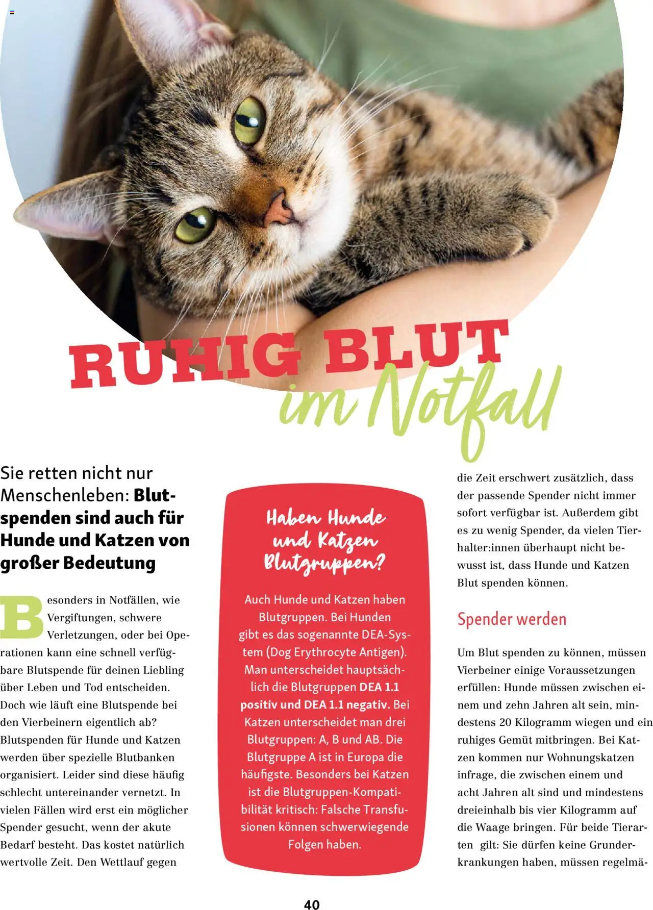 Fressnapf Friends Magazin – gültig ab 01.09.2025 | Seite: 40