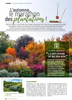 VillaVerde - Prévisualisation de VillaVerde catalogue valide à partir de 19.09.2025 | Page: 20 | Produits: Plantes, Magazine