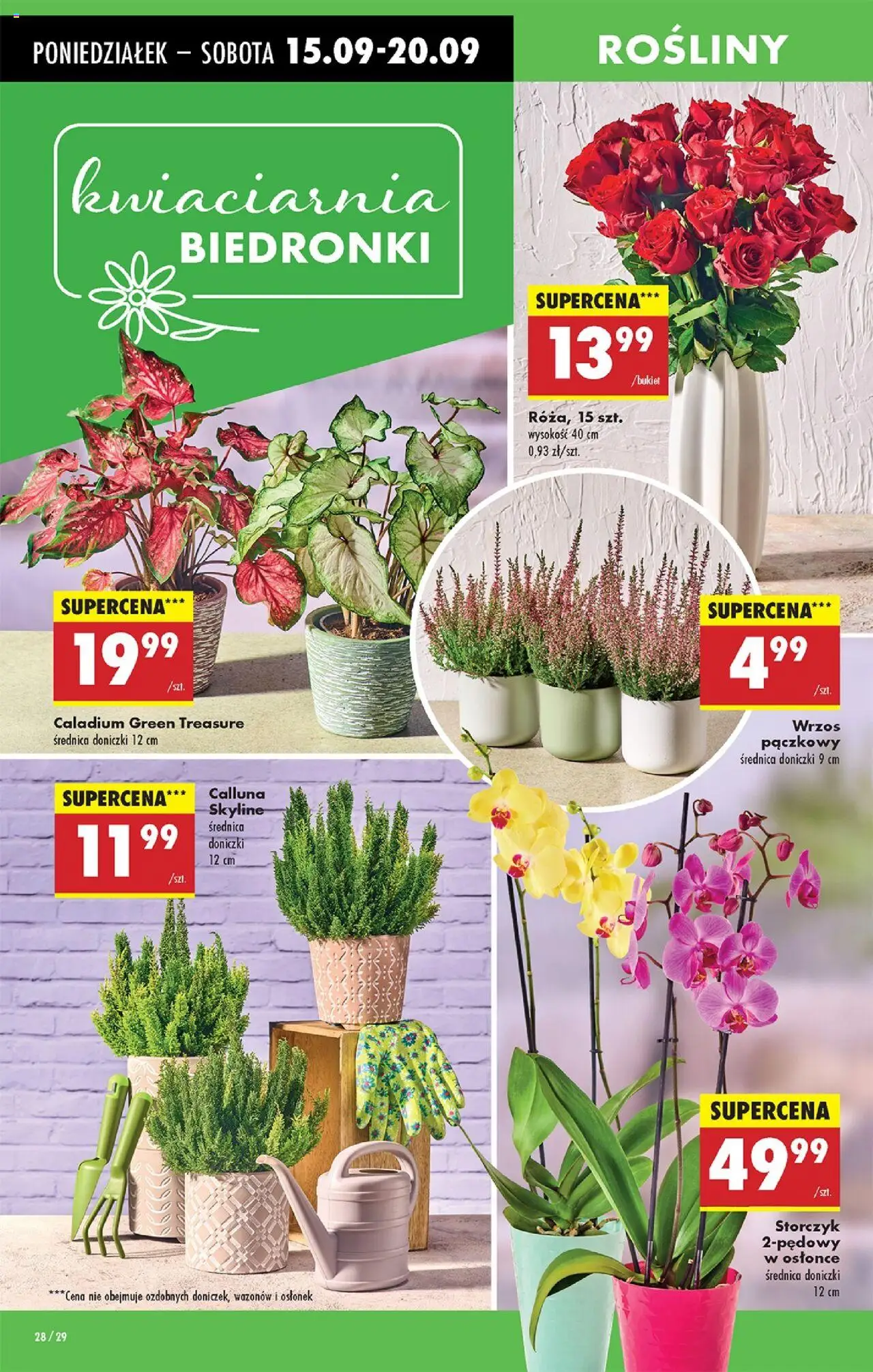 Biedronka gazetka od 15.09.2025 | Strona: 34