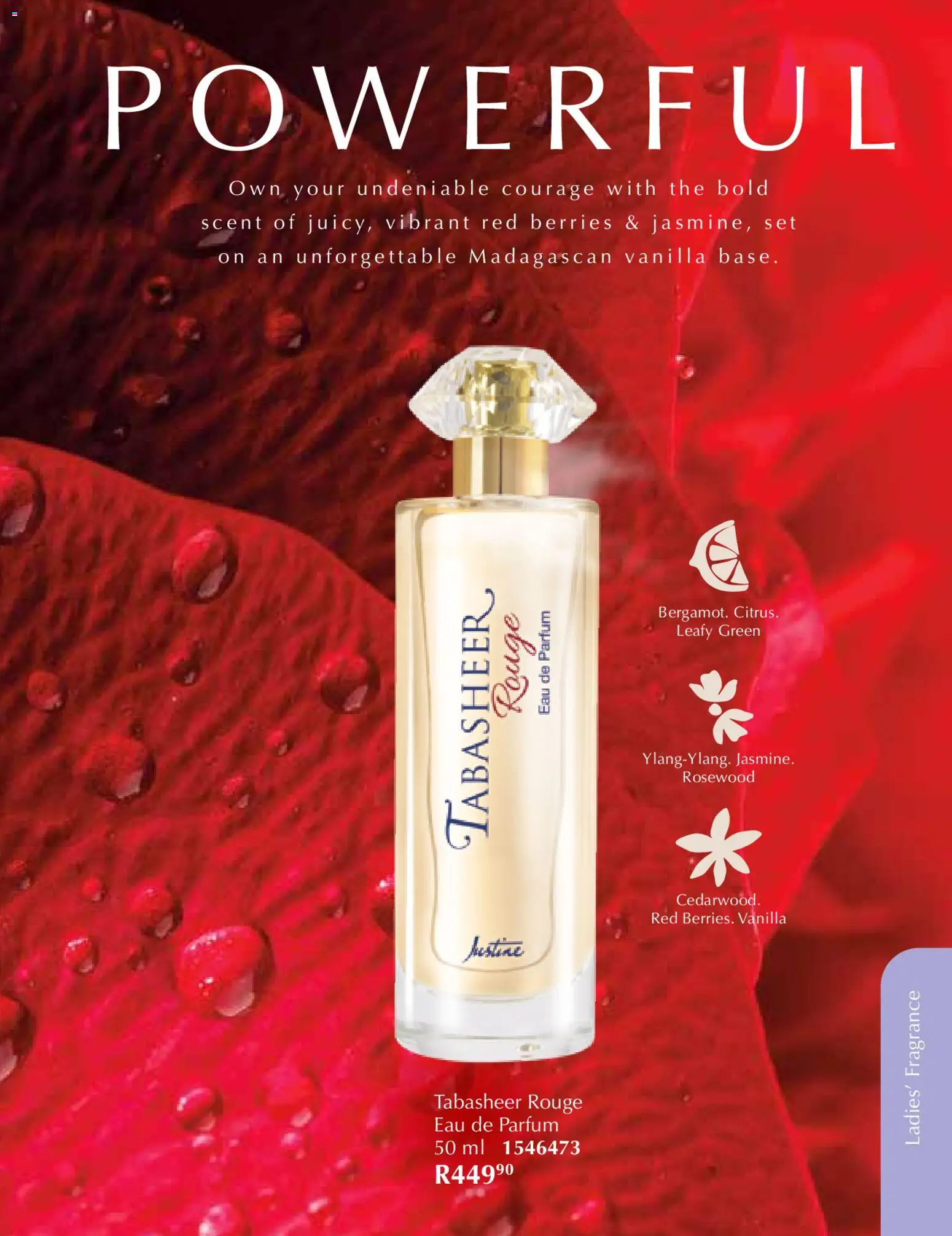 New Justine catalogue – valid from 01.11.2025 | Page: 58