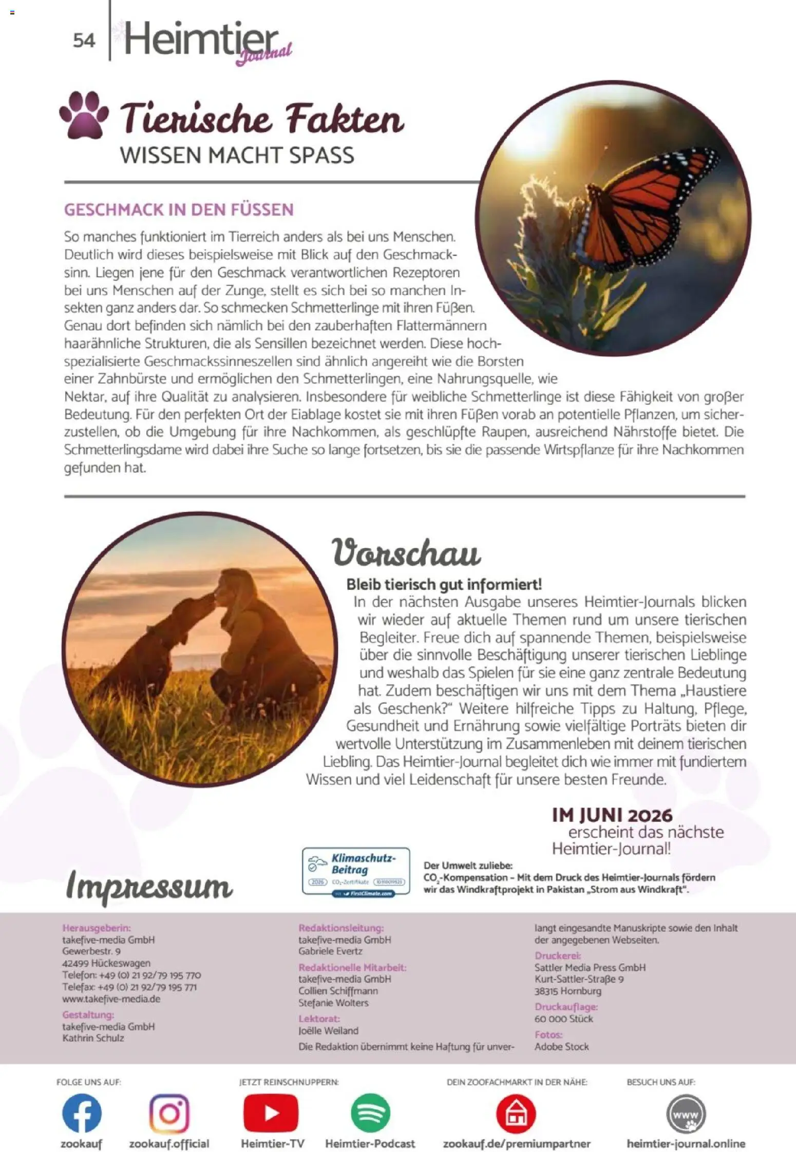 zookauf Heimtier Journal – gültig ab 01.04.2026 | Seite: 54 | Produkte: Zahnbürste