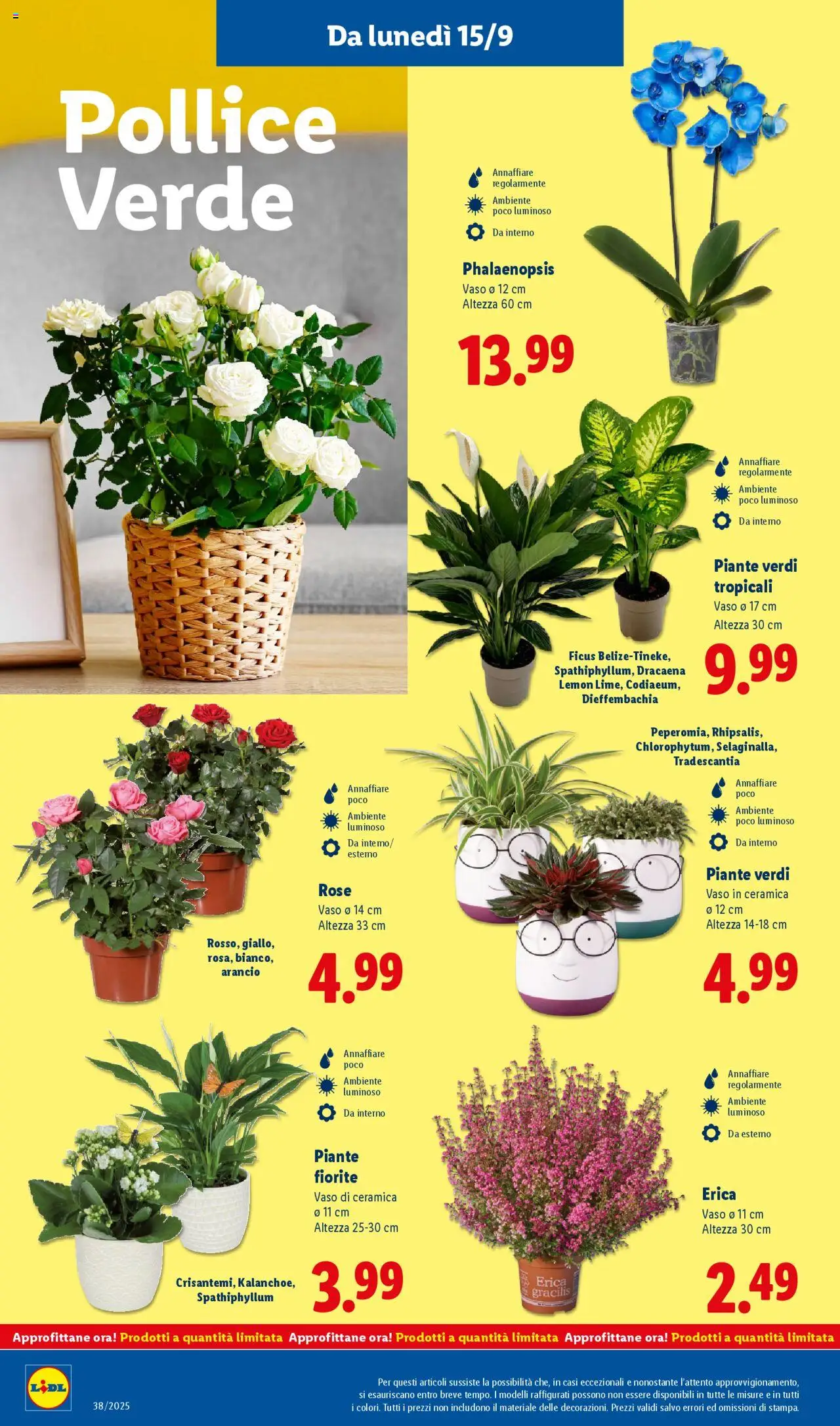 Volantino Lidl del 15.09.2025 | Pagina: 46 | Prodotti: Vaso