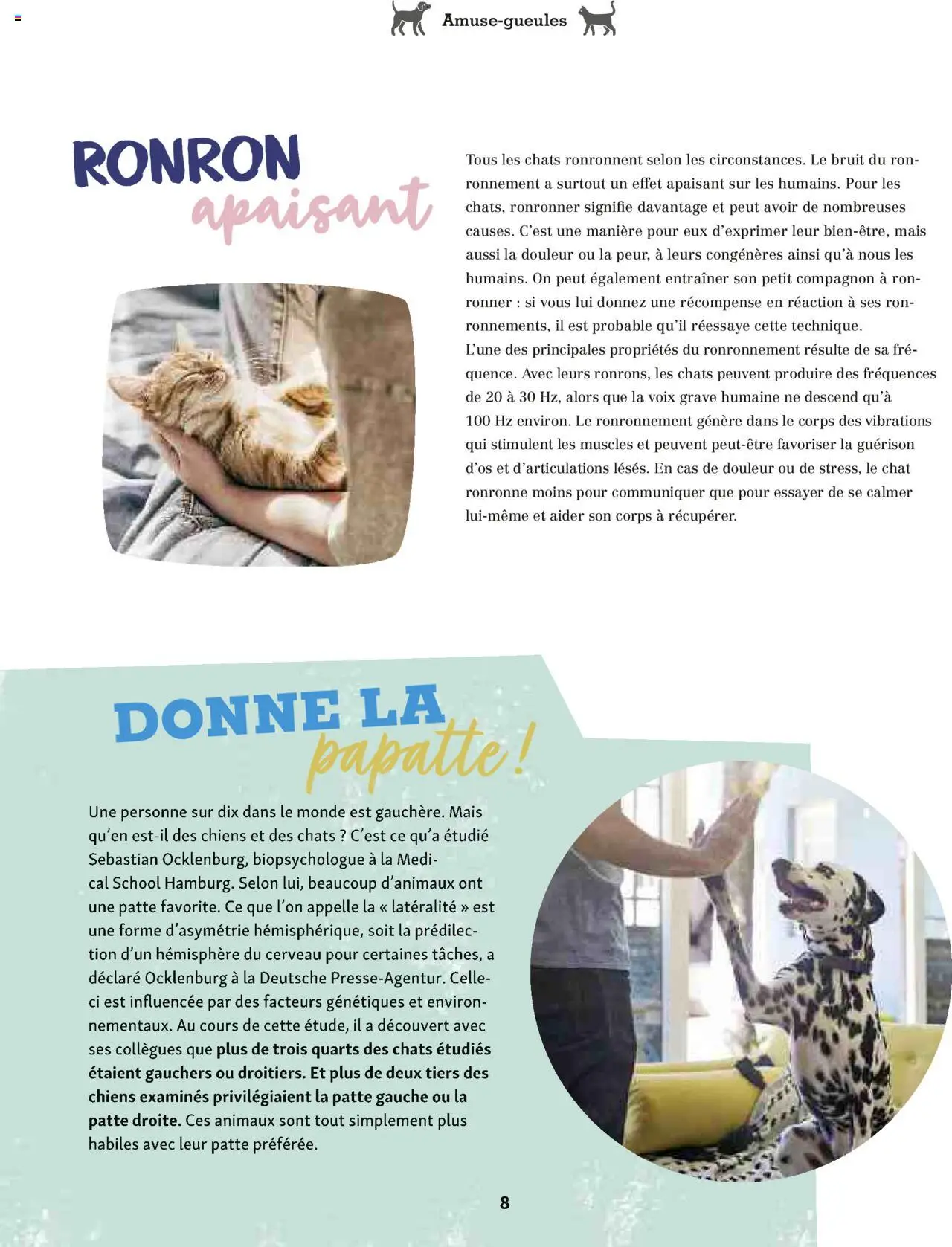  | Page: 8 | Produits: Mais