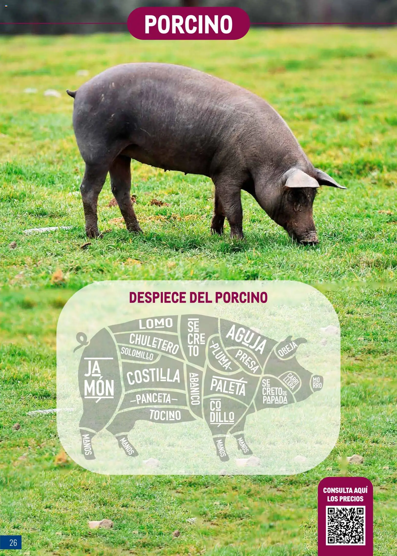 Makro - Expertos en carnes Canarias │ válido desde el 09.03.2026 | Página: 26 | Productos: Ηλεκτρικός φούρνος