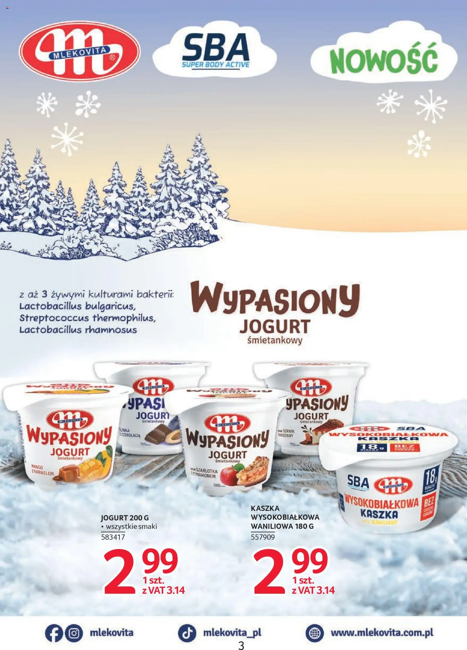 Selgros cash&carry Gazetka - Markowe produkty od 19.02.2026 | Strona: 3 | Produkty: Mango, Jogurt śmietankowy, Jogurt, Body