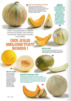  | Page: 24 | Produits: Melon, Orange