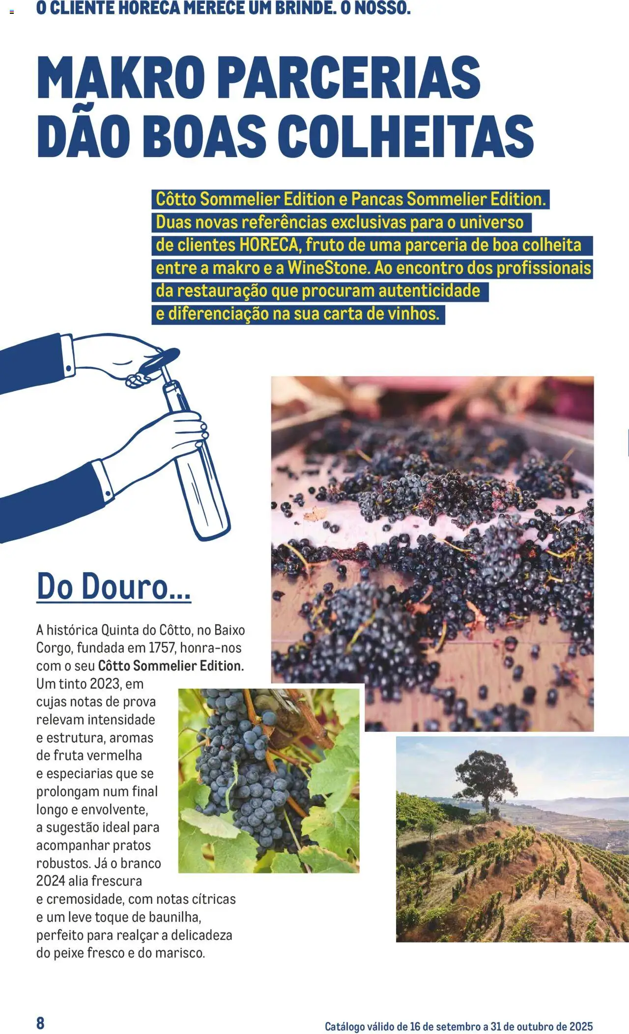 Makro - Especial Vinhos │ válido de 16.09.2025 | Página: 8 | Produtos: Pratos, Peixe