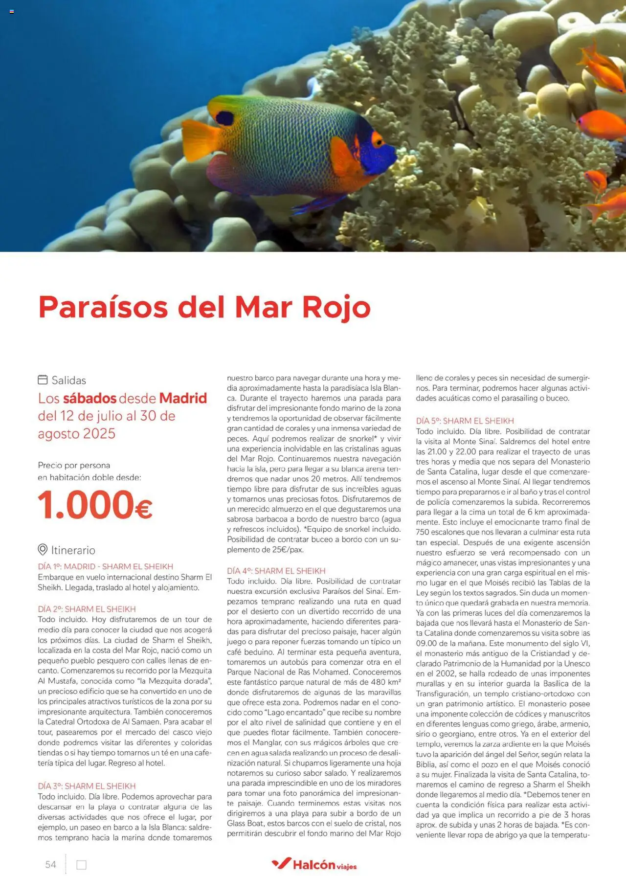 Halcón Viajes Egipto │ válido desde el 01.07.2025 | Página: 54 | Productos: Café, Té, Ropa, Barbacoa