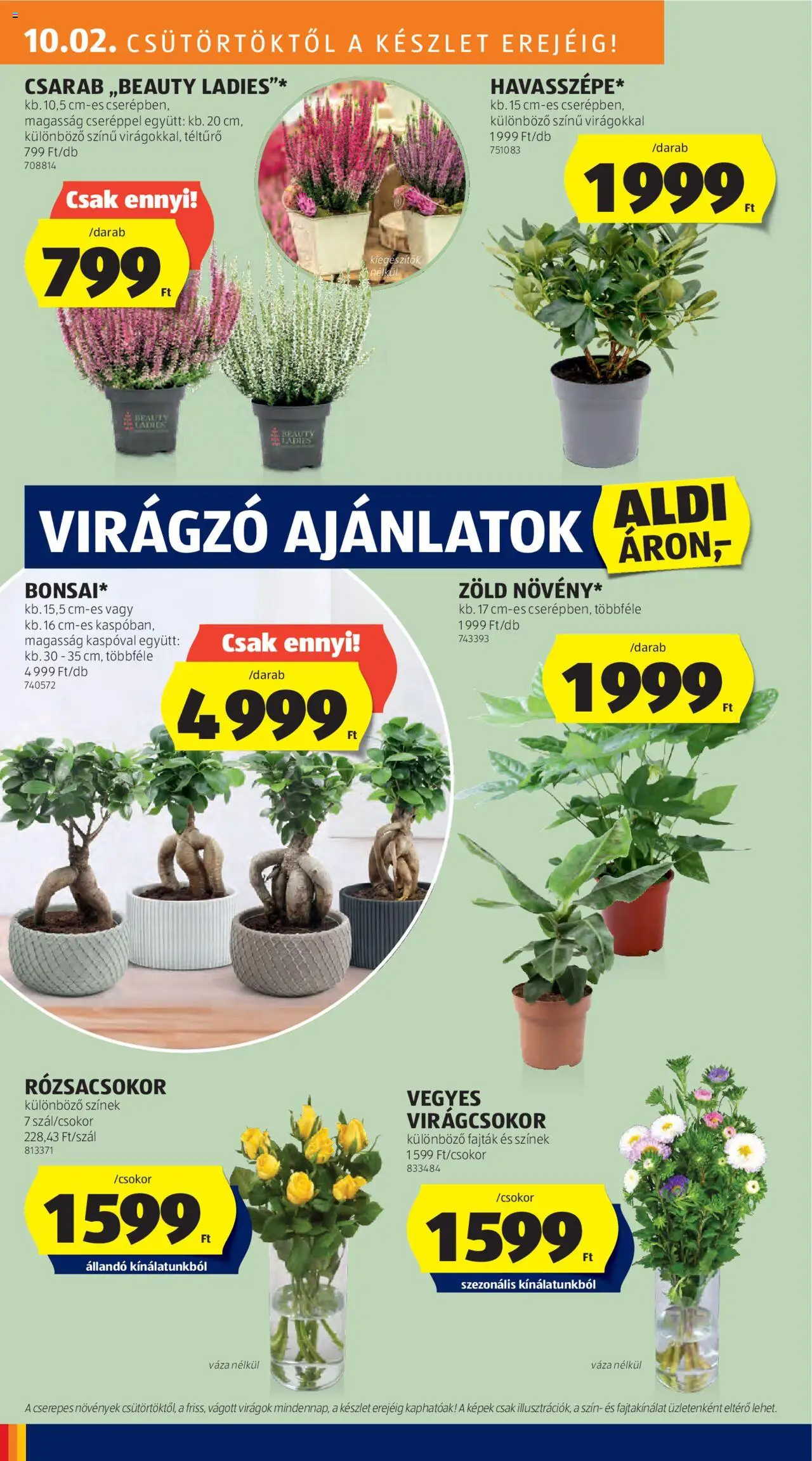 Aldi akciós ujság - amely érvényes a következő dátumtól: 02.10.2025 | Oldal: 24 | Termékek: Virágok, Váza