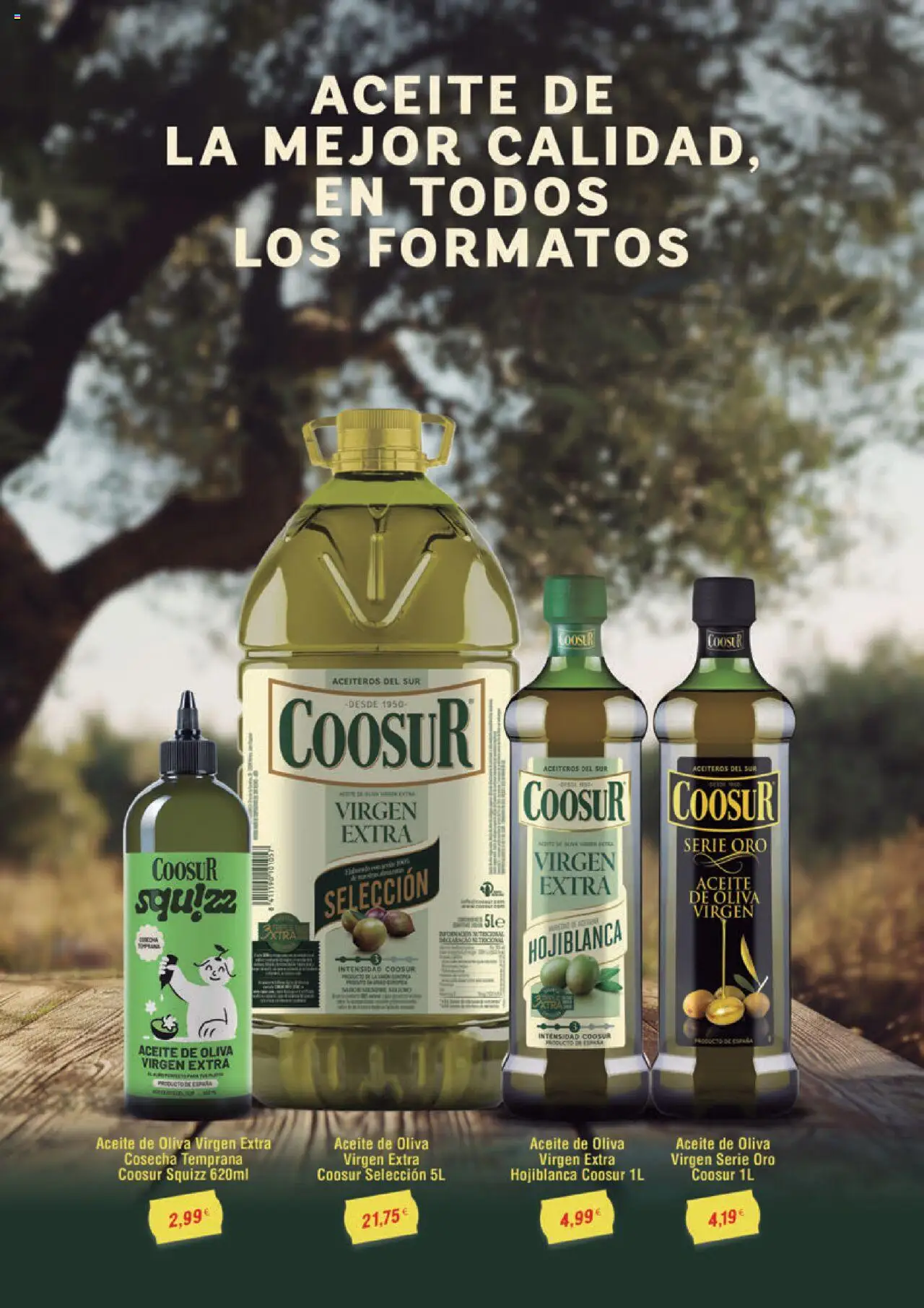 Alimerka folleto Castilla y León │ válido desde el 14.08.2025 | Página: 19 | Productos: Aceite, Aceite de oliva, Aceite de oliva virgen extra