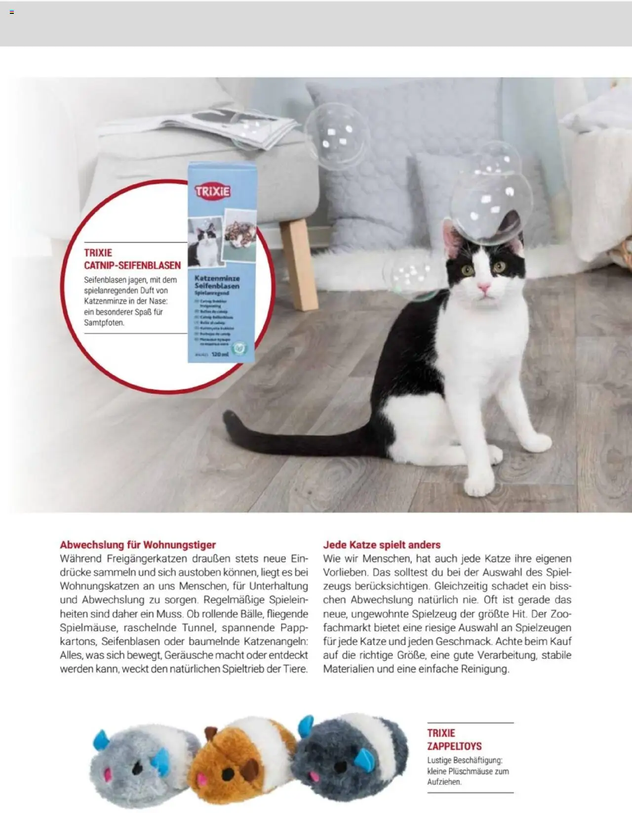 zookauf Themenkatalog Katze – gültig ab 01.10.2025 | Seite: 51 | Produkte: Spiel, Duft
