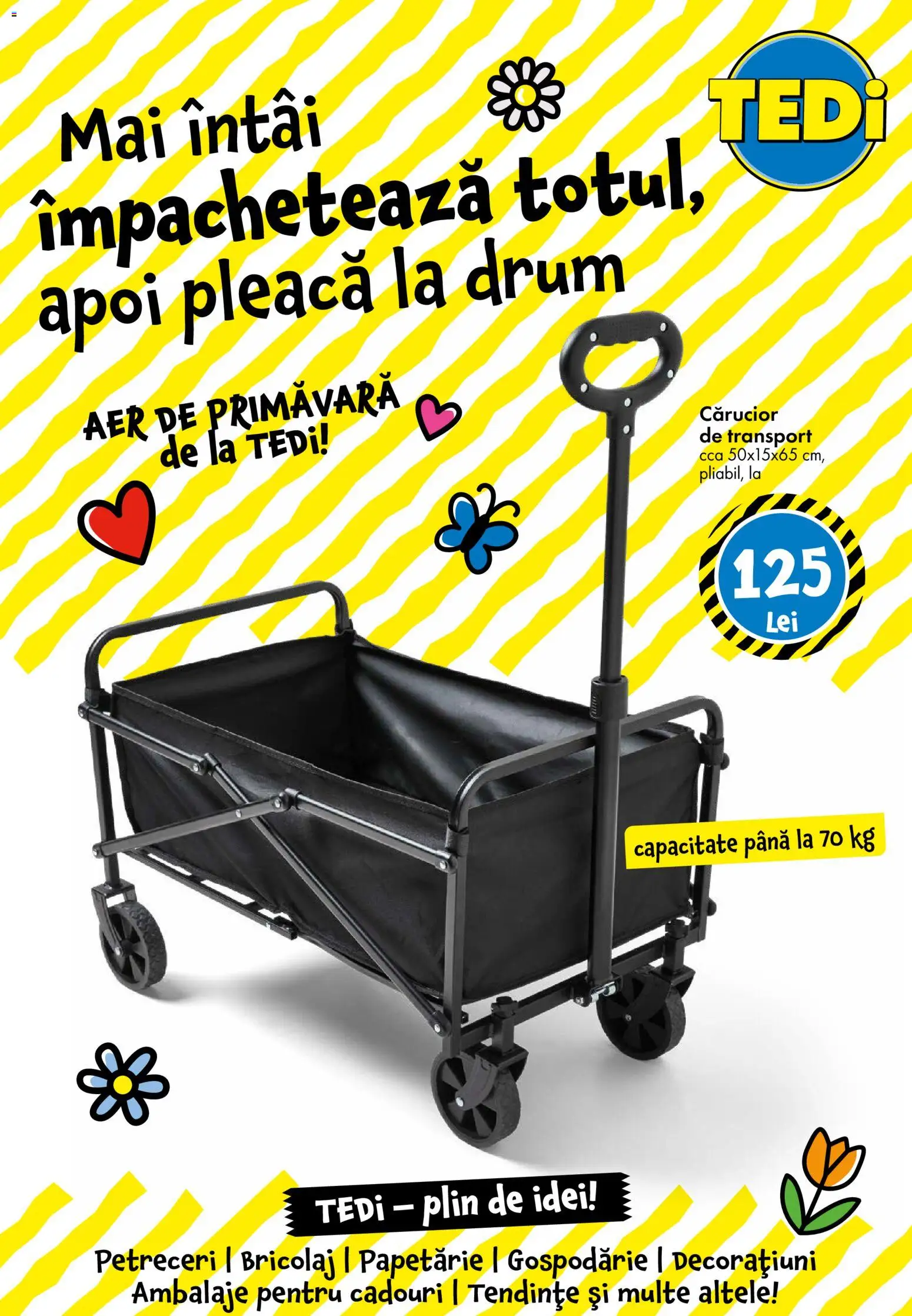 Noul catalog TEDi – valabil de la 13.03.2026 | Pagină: 25 | Produse: Cărucior de transport