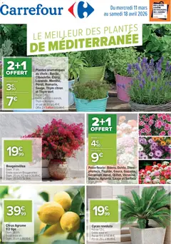 Carrefour - Prévisualisation de Carrefour Le meilleur des plantes de méditerranée valide à partir de 11.03.2026